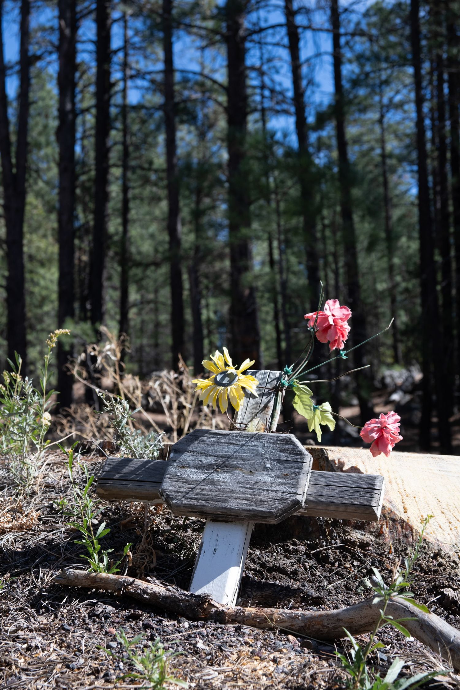 Weathered wooden cross adorned with yellow and pink artificial flowers in a sunlit pine forest memorial.