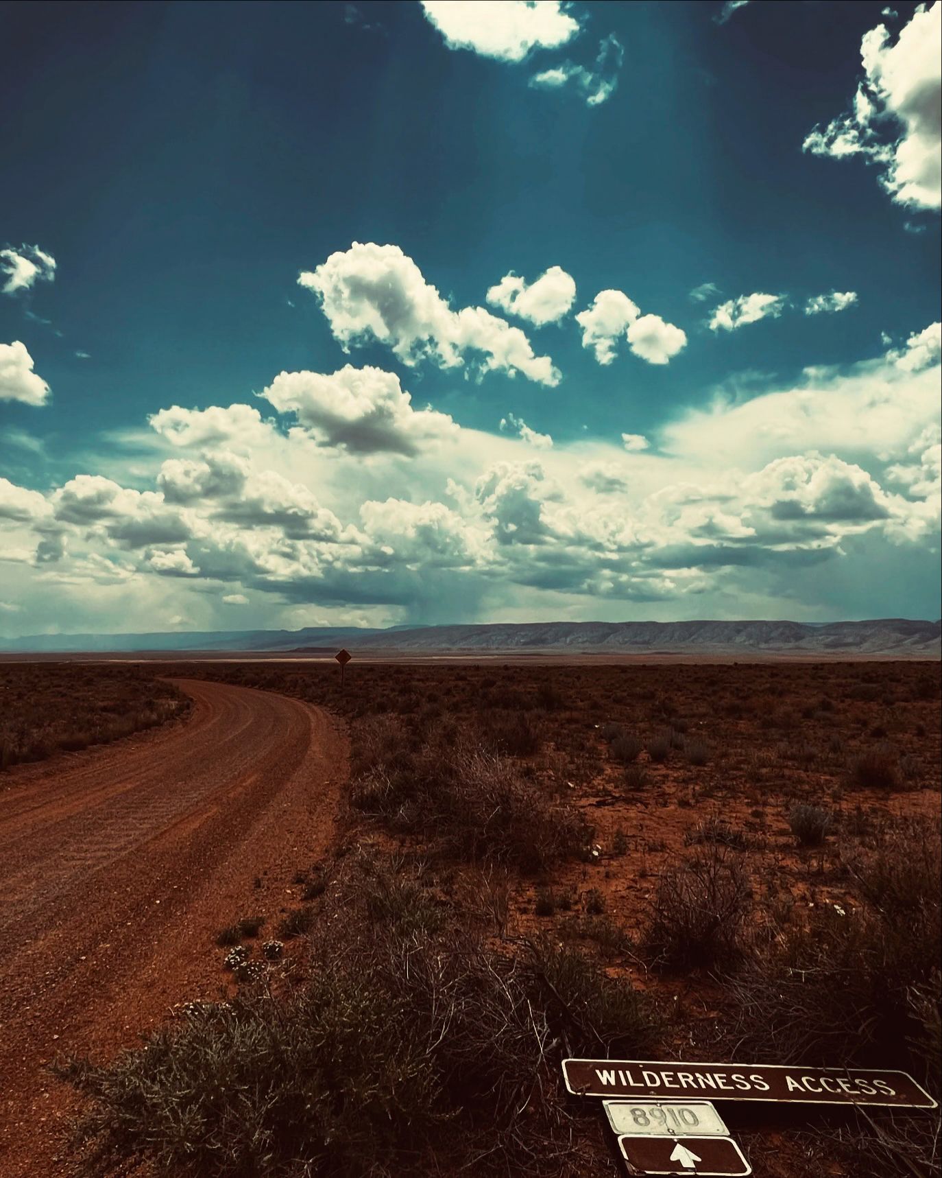 Dirt road leading through arid desert landscape with dramatic cloudy sky and wilderness access sign.