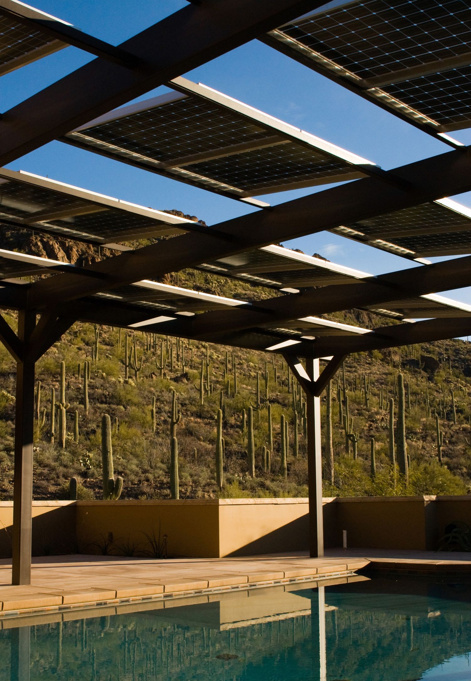 Solar panel pergola shading a swimming pool with saguaro cactus-covered desert mountains in background.