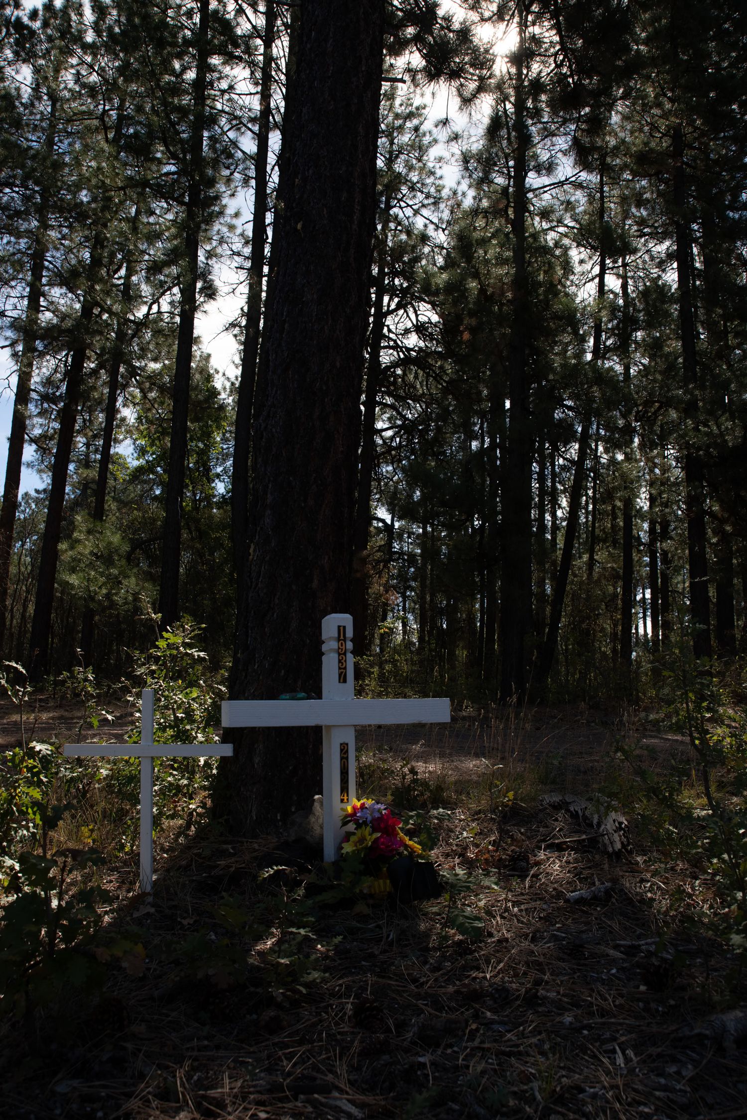 White wooden cross memorial with colorful flowers placed against tall pine trees in a forest setting.
