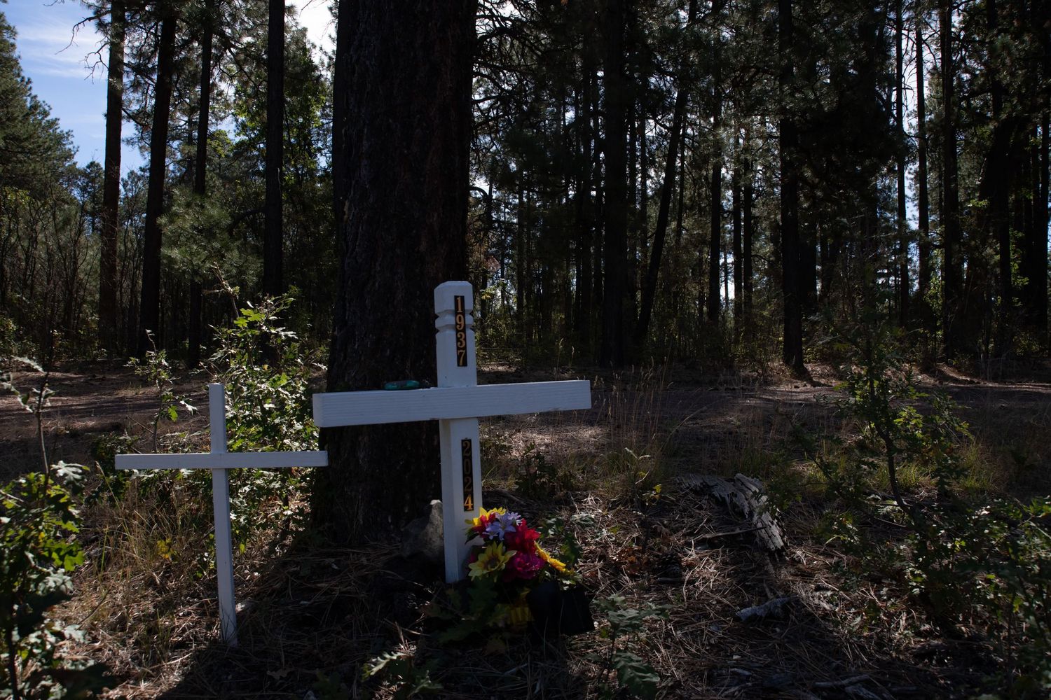 Two white crosses with a bouquet of colorful flowers nestled among tall pine trees in a forest memorial.