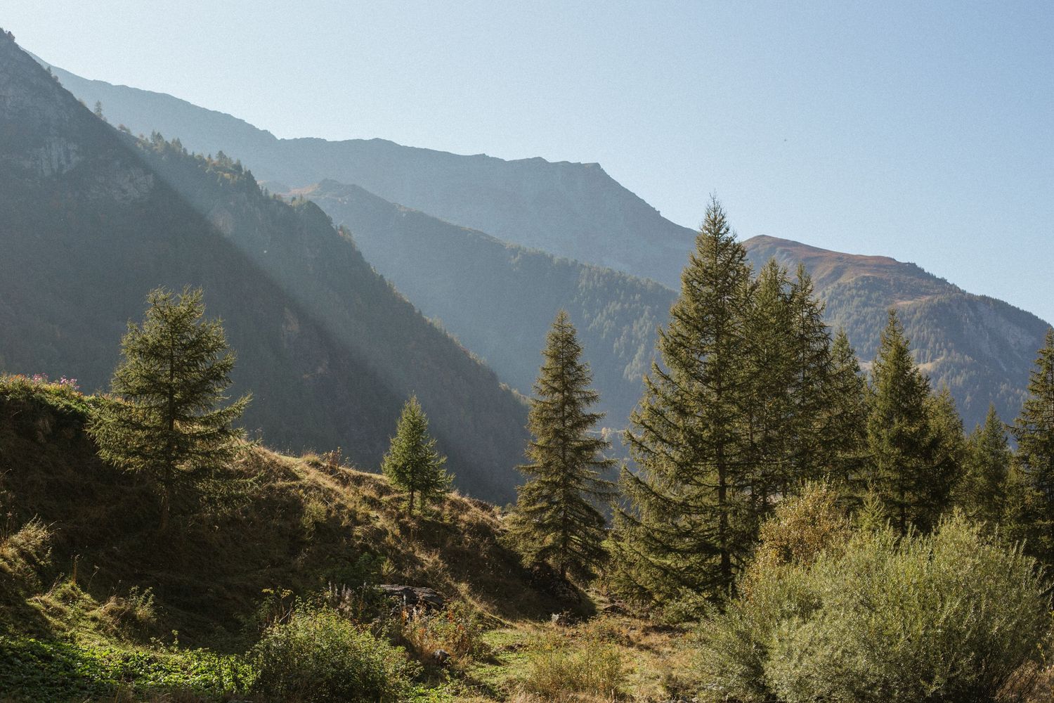 sun casting shadows across green mountains