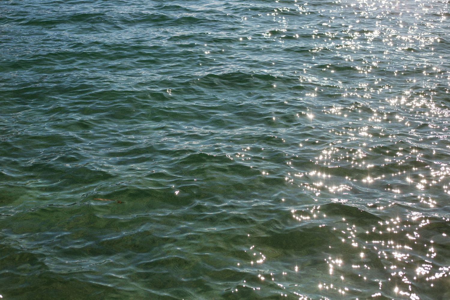 sparkles on a blue lake