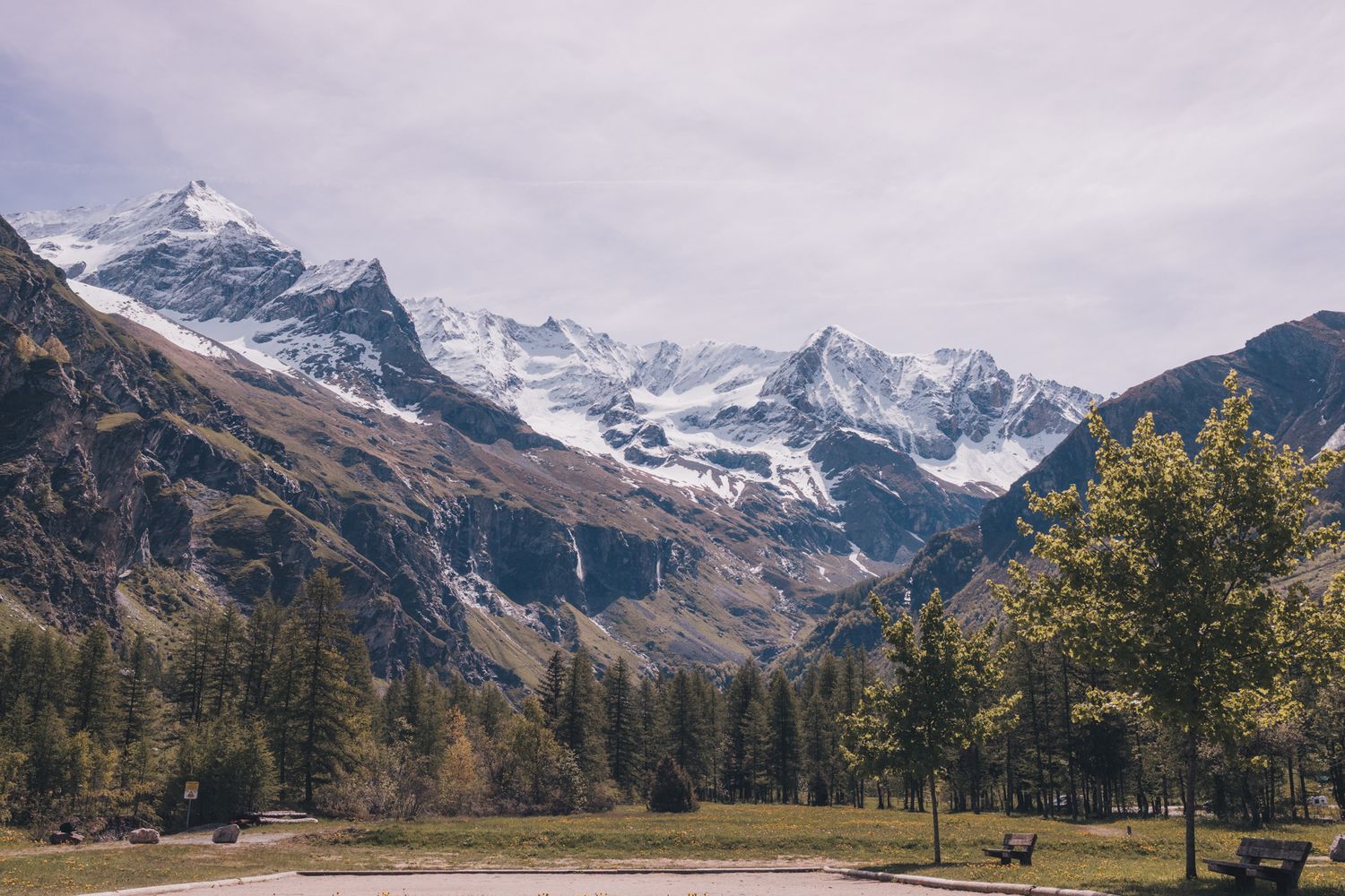 wide vista of snow capped mountains and trees