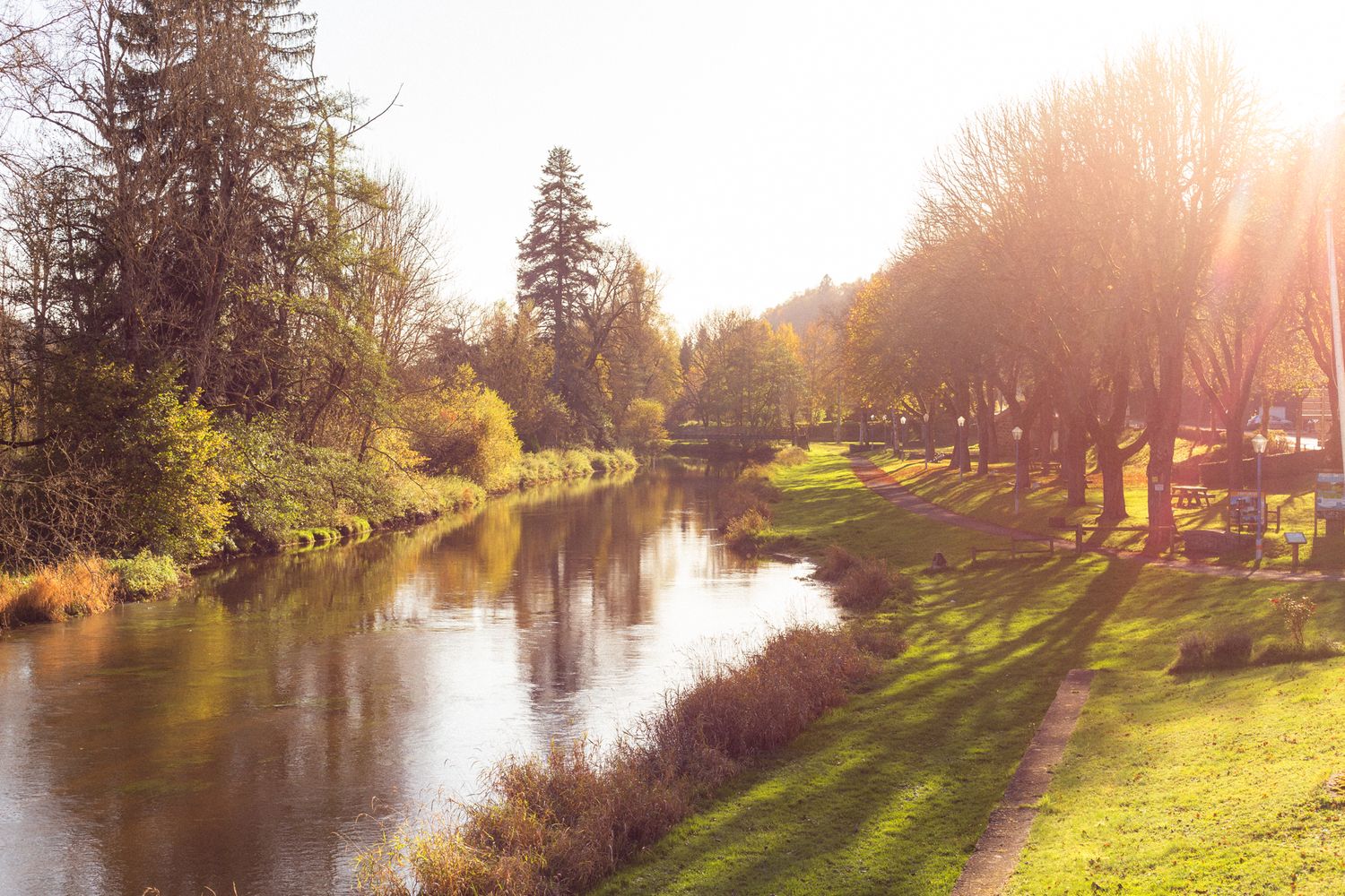 late evening sunset behind trees next to a French countryside river