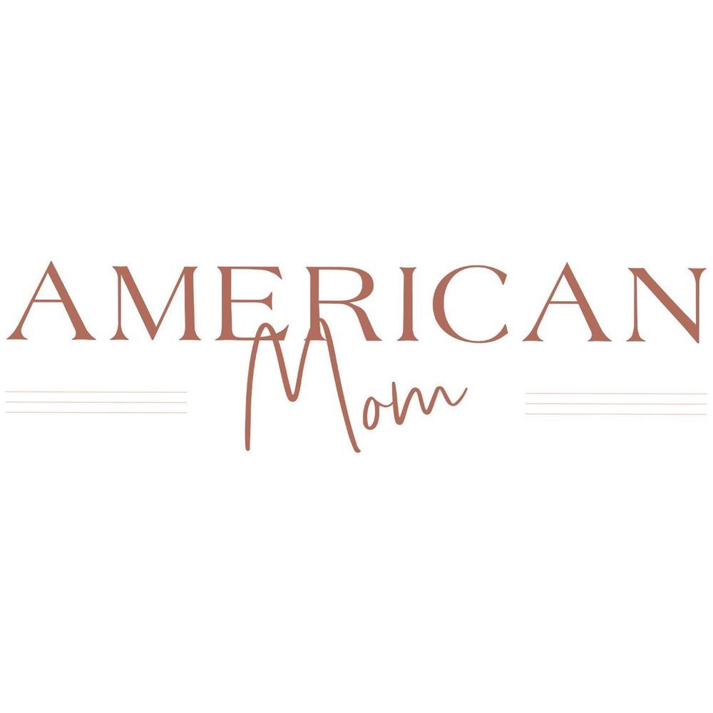 Vintage American Airlines logo in red text against a light background.