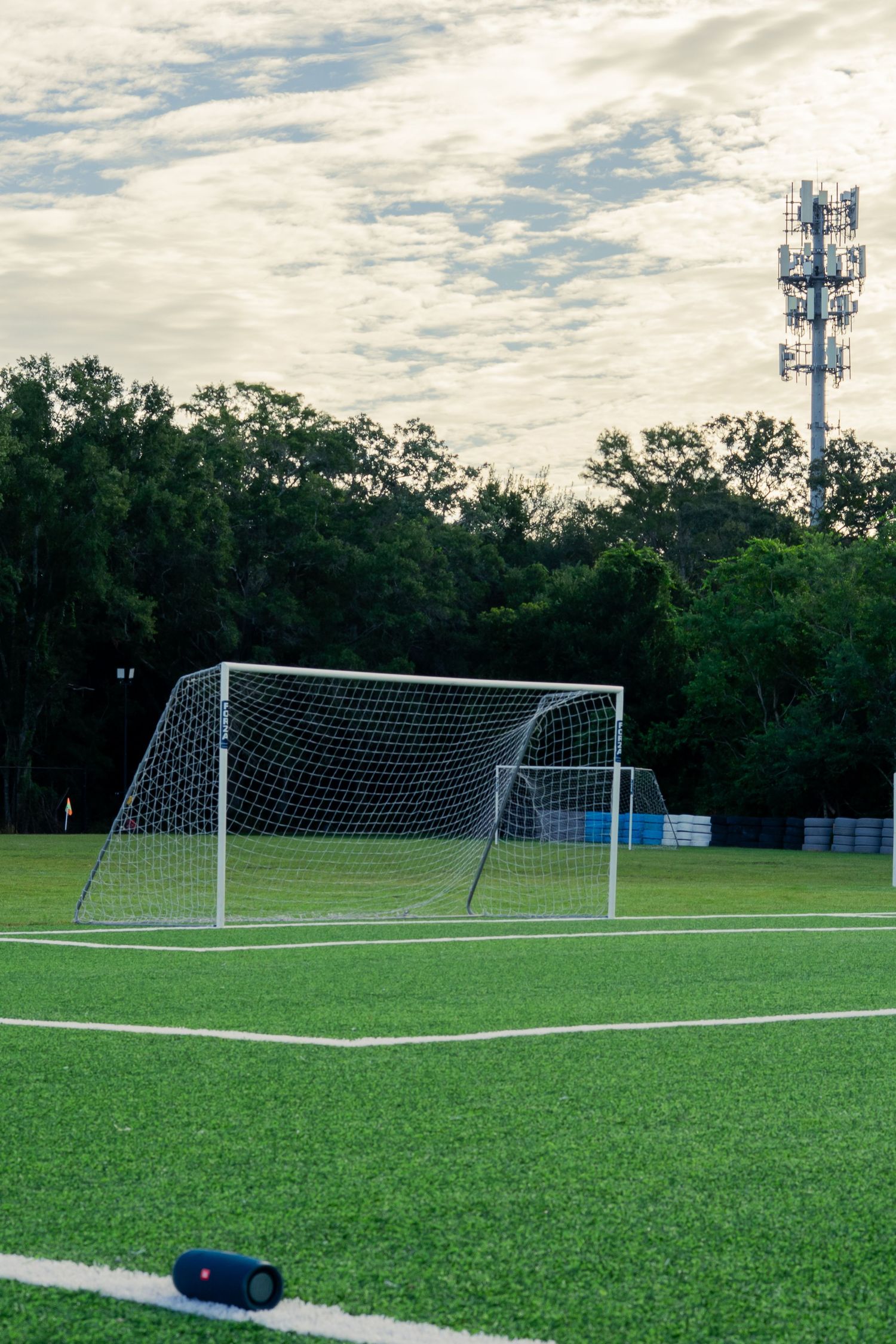 Empty white soccer goal net on green turf field at dusk with trees and light tower behind.