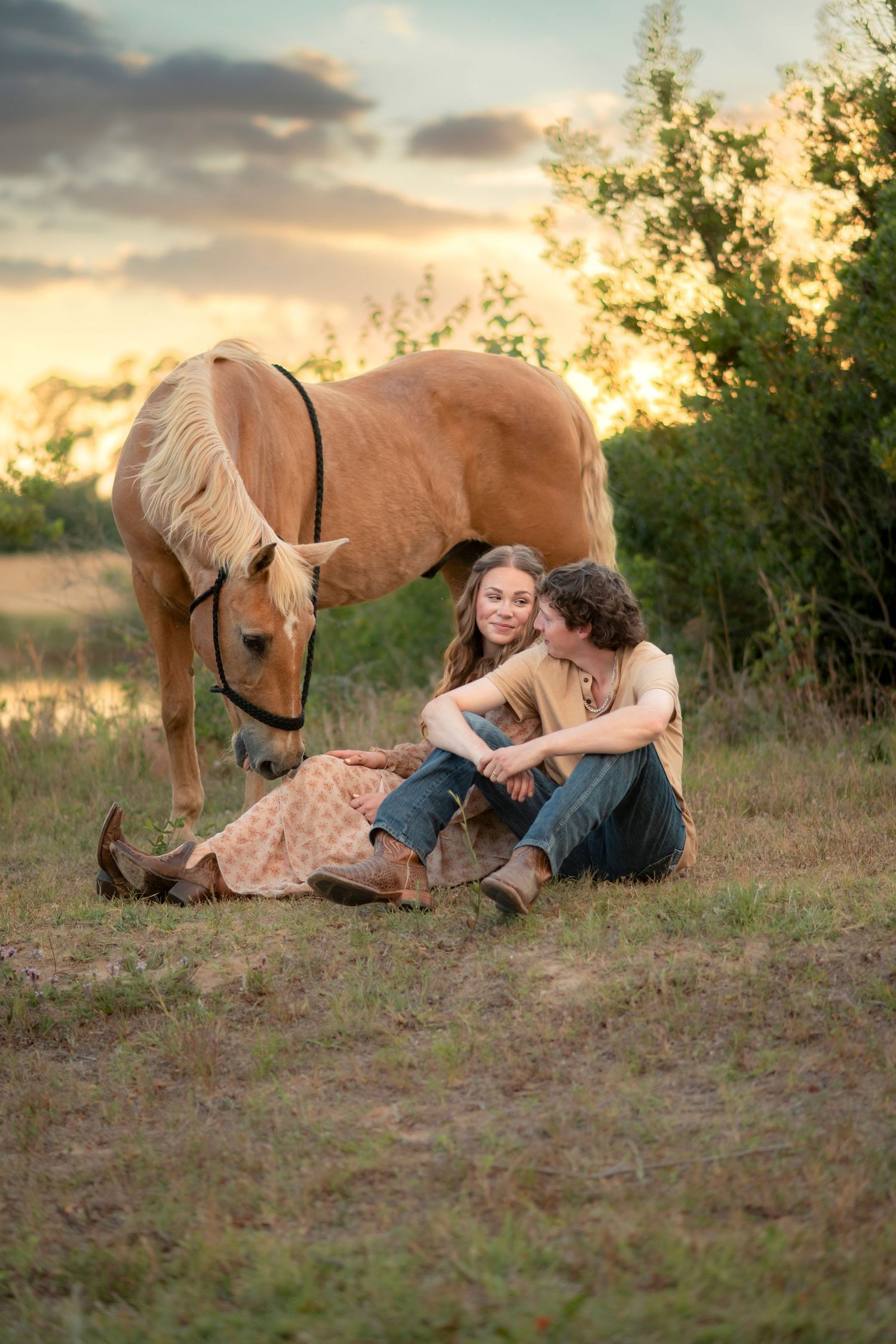 Couple sits together on grass beside a palomino horse sharing a kiss at golden sunset.