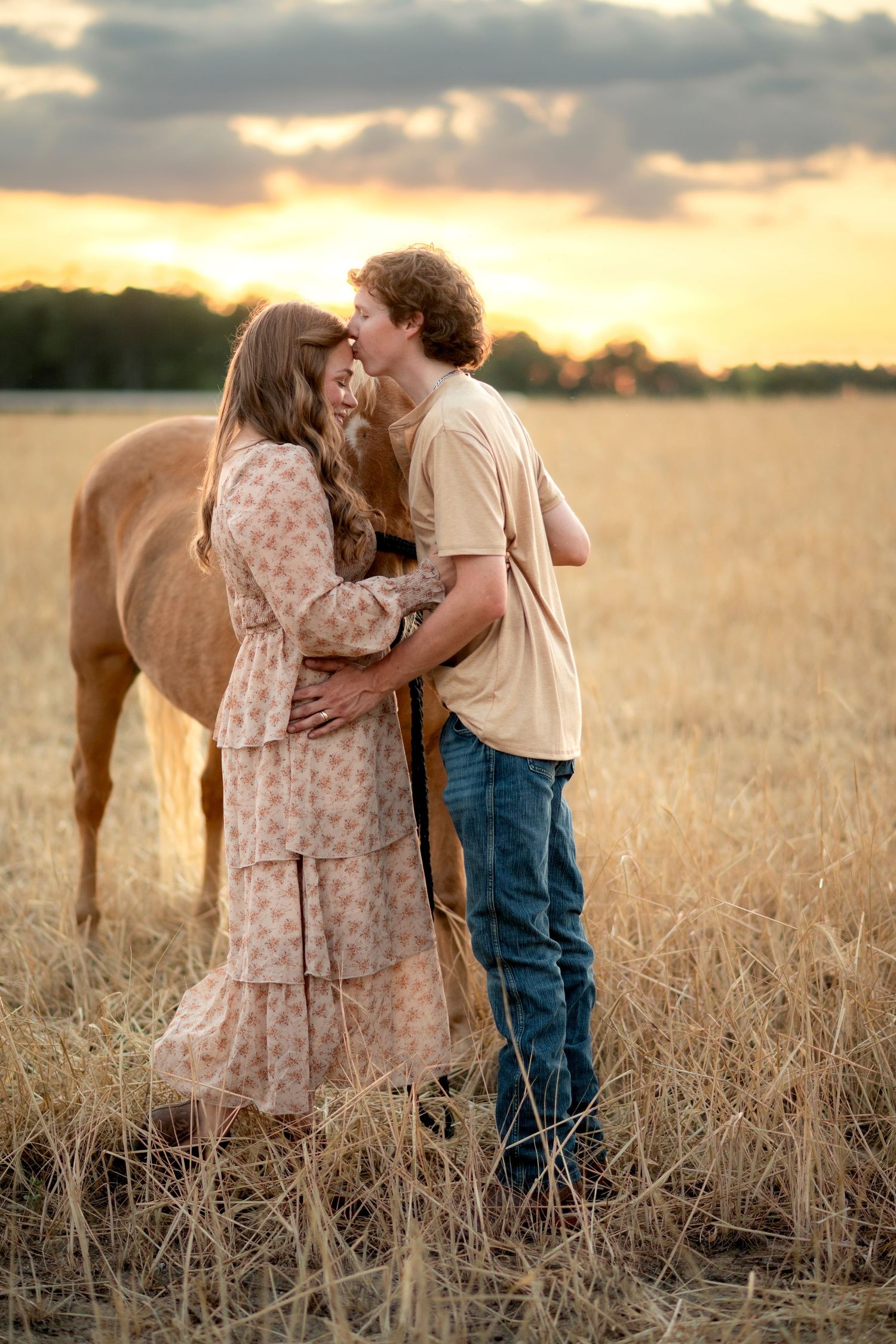 Romantic couple shares a kiss in a golden wheat field with a palomino horse at sunset.
