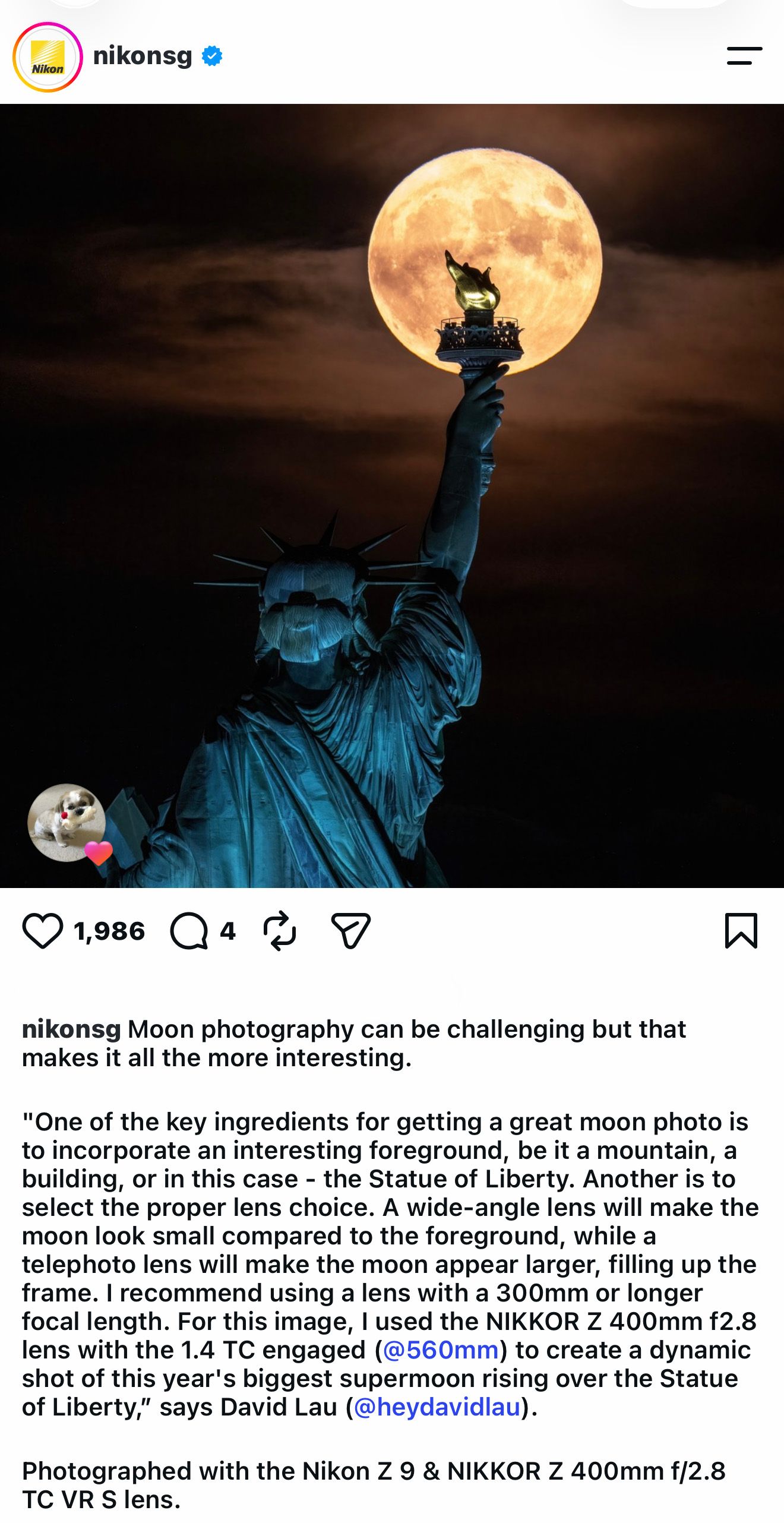 Nikon Photo feature by David Lau