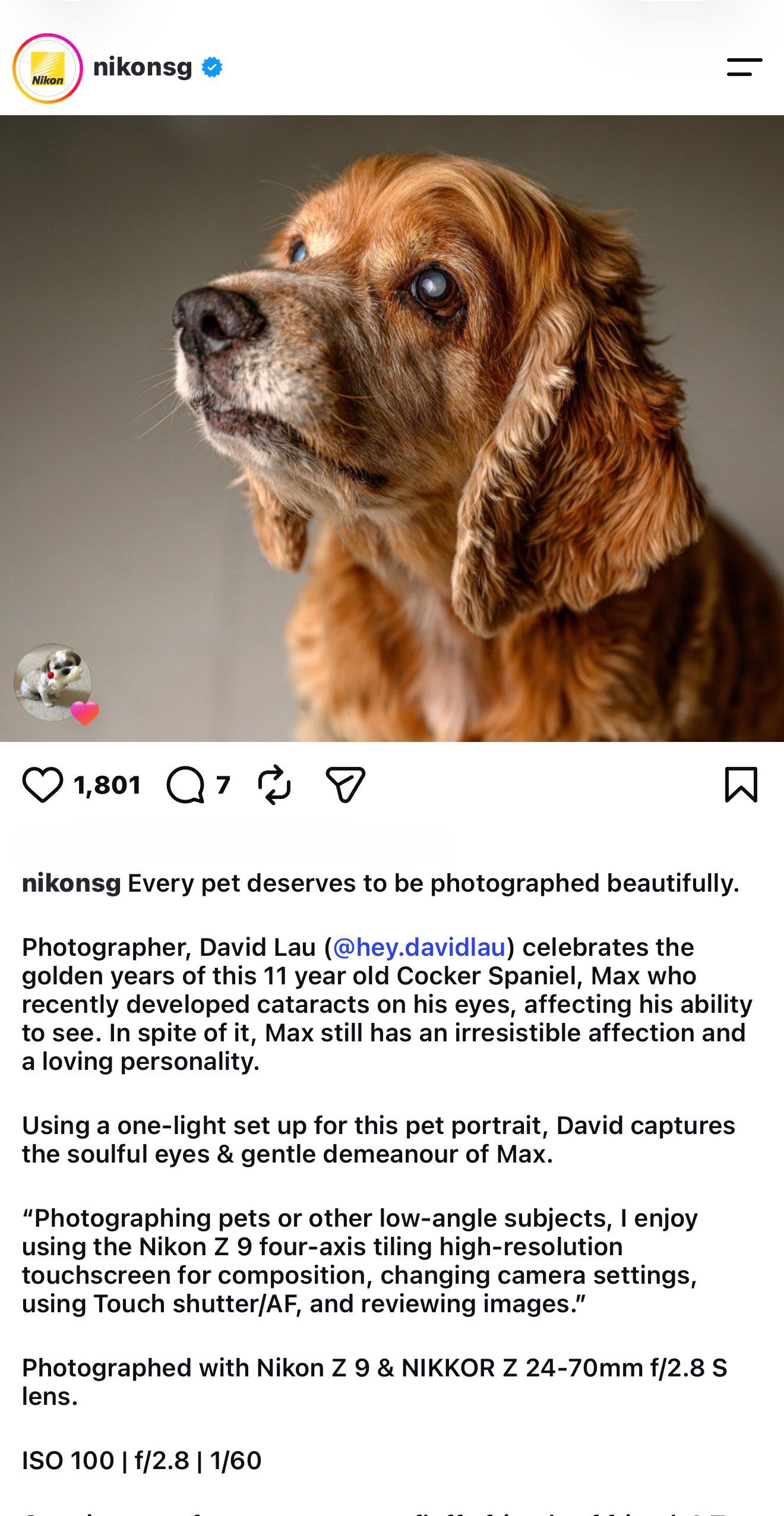 Nikon Photo feature by David Lau