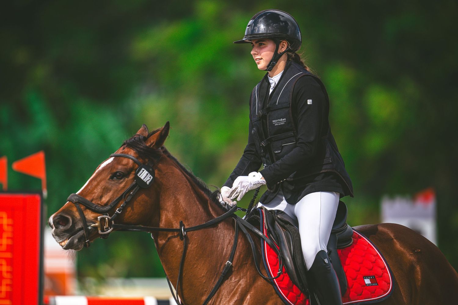 Equestrian rider in black attire competing on a chestnut horse in a jumping event.