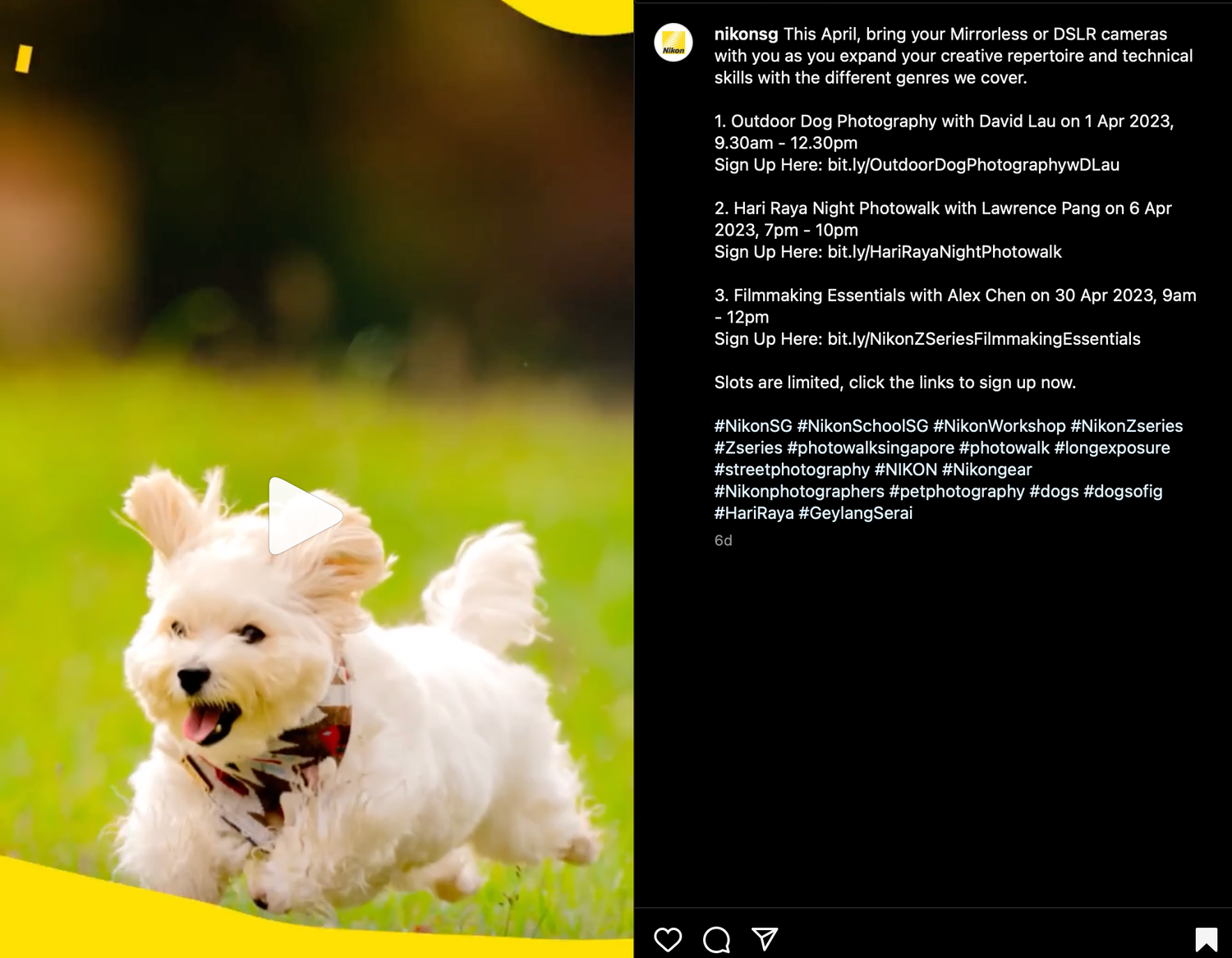 Nikon Dog Photography Workshop by David Lau