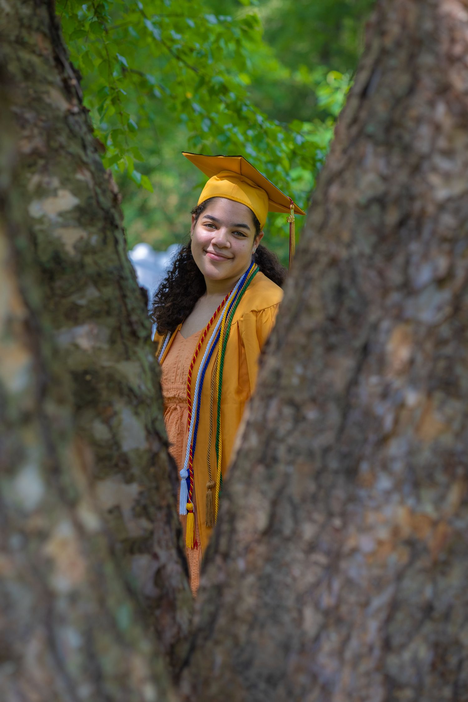 Graduate in yellow cap and gown peeks through tree branches during outdoor photo session.
