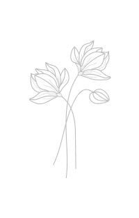 Minimalist line drawing of flowers with delicate stems and buds.