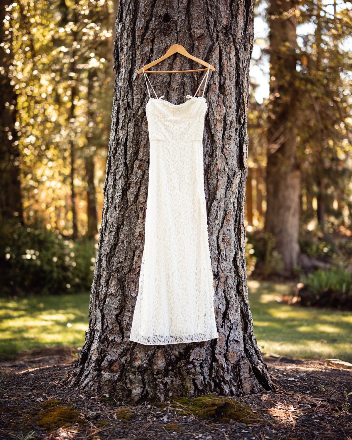 A white lace wedding dress hangs on a wooden hanger against a large tree trunk in a sunlit forest setting.