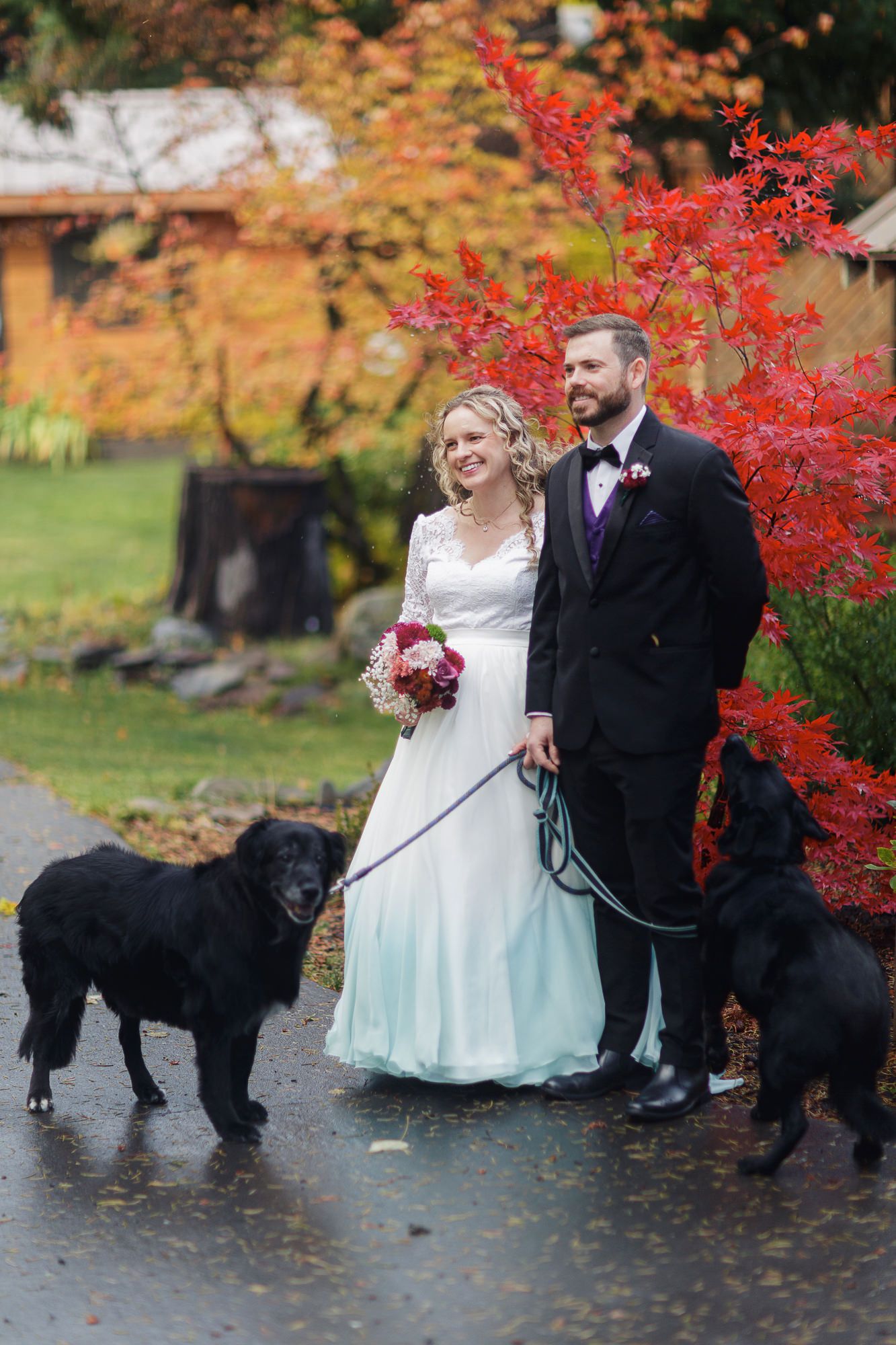 A couple in wedding attire poses with their black dog against vibrant red autumn foliage in a park setting.