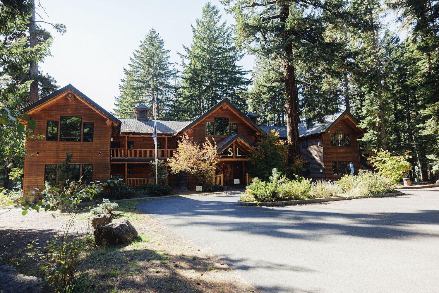 Rustic wooden lodge surrounded by tall pine trees with a paved driveway in a forested mountain setting.