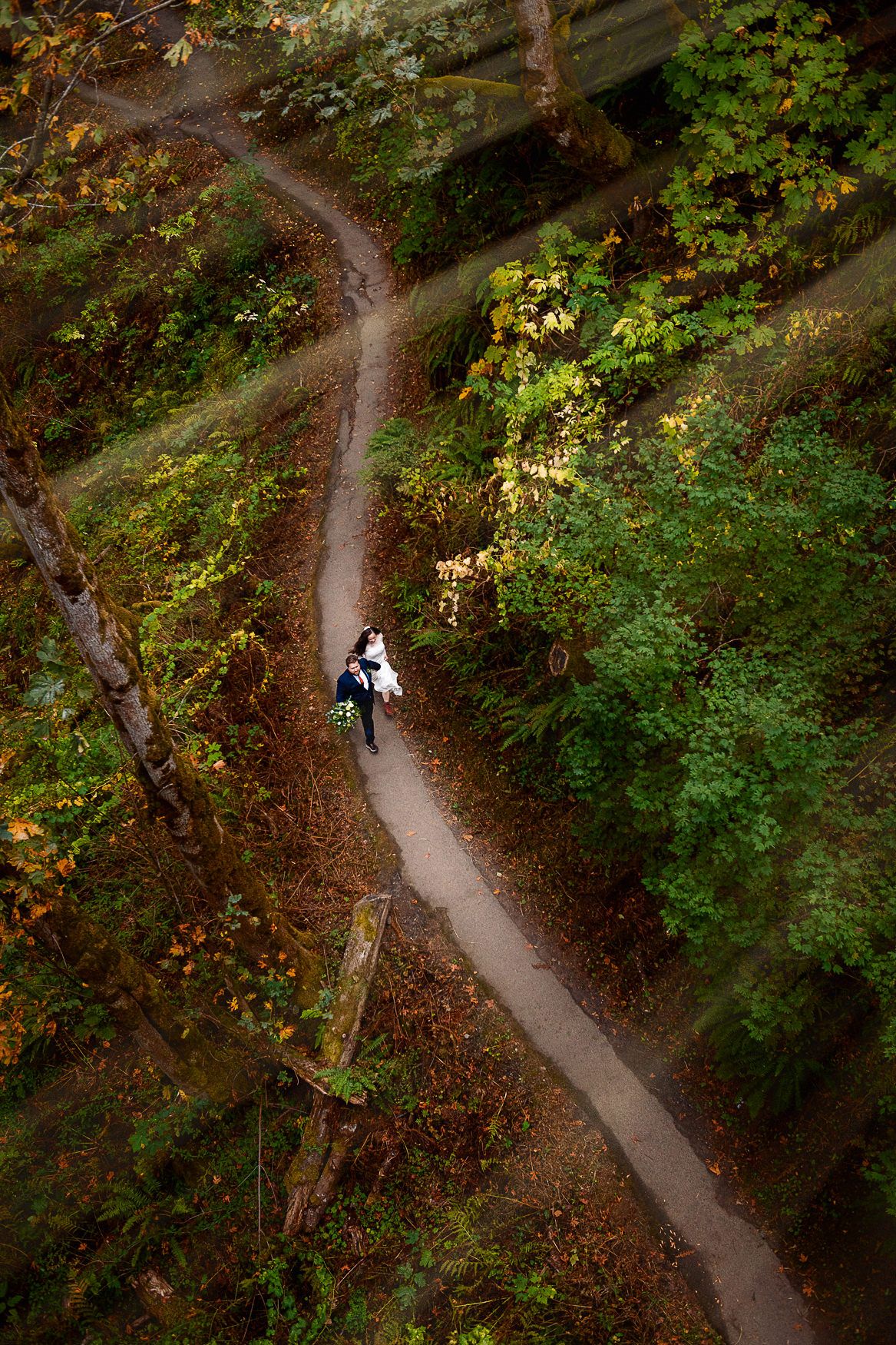 An aerial view of a curved hiking trail through autumn forest with bride and groom running hand-in-hand together.