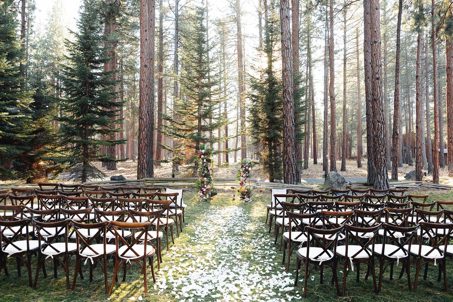 White wooden chairs arranged in rows for an outdoor forest wedding ceremony among tall pine trees.