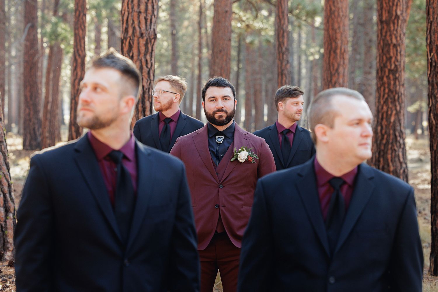 Groomsmen in dark suits stand in formation among tall pine trees in a forest setting.