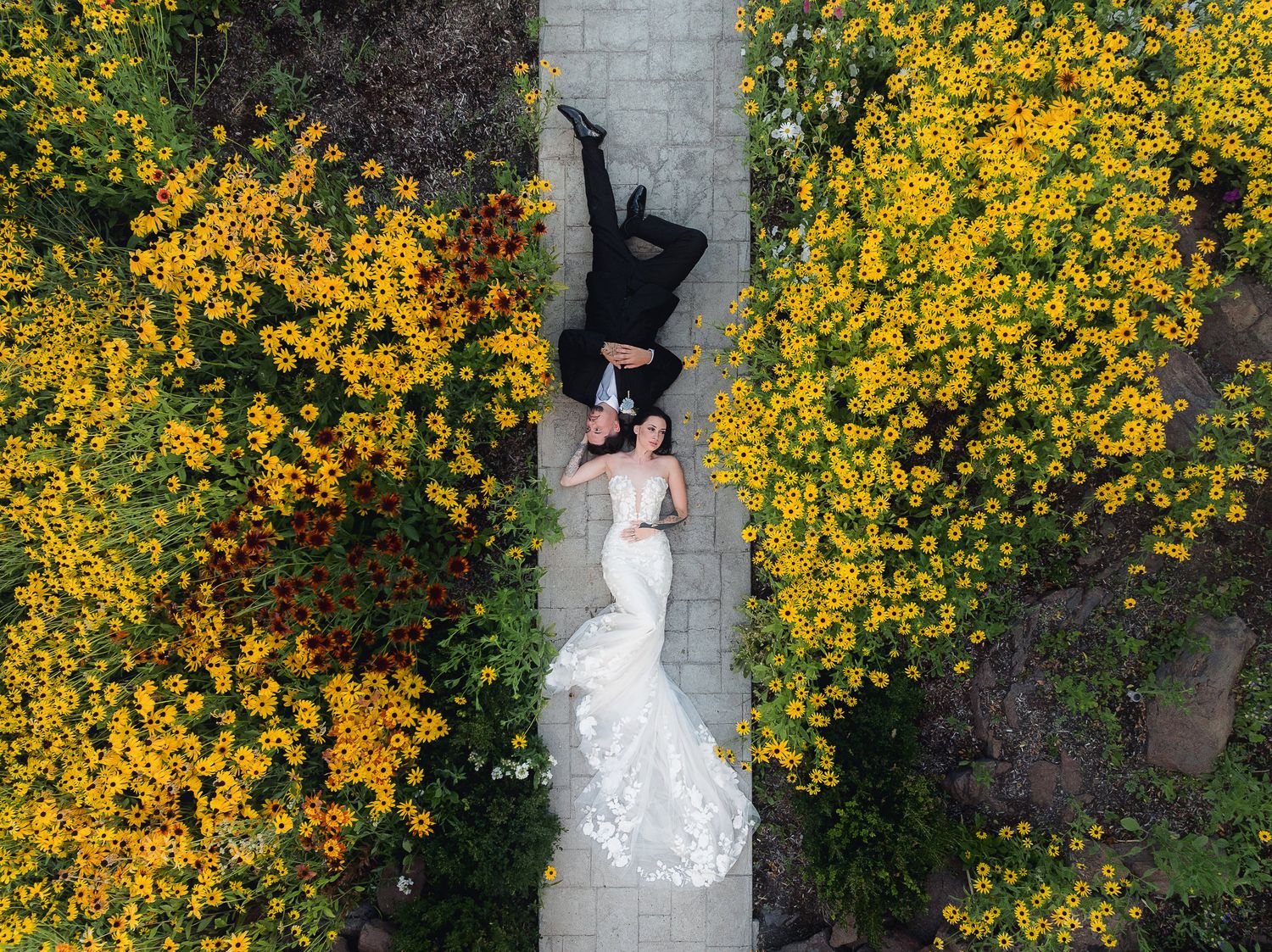 A beautiful wedding couple embraces in front of blooming yellow forsythia bushes along a stone wall.