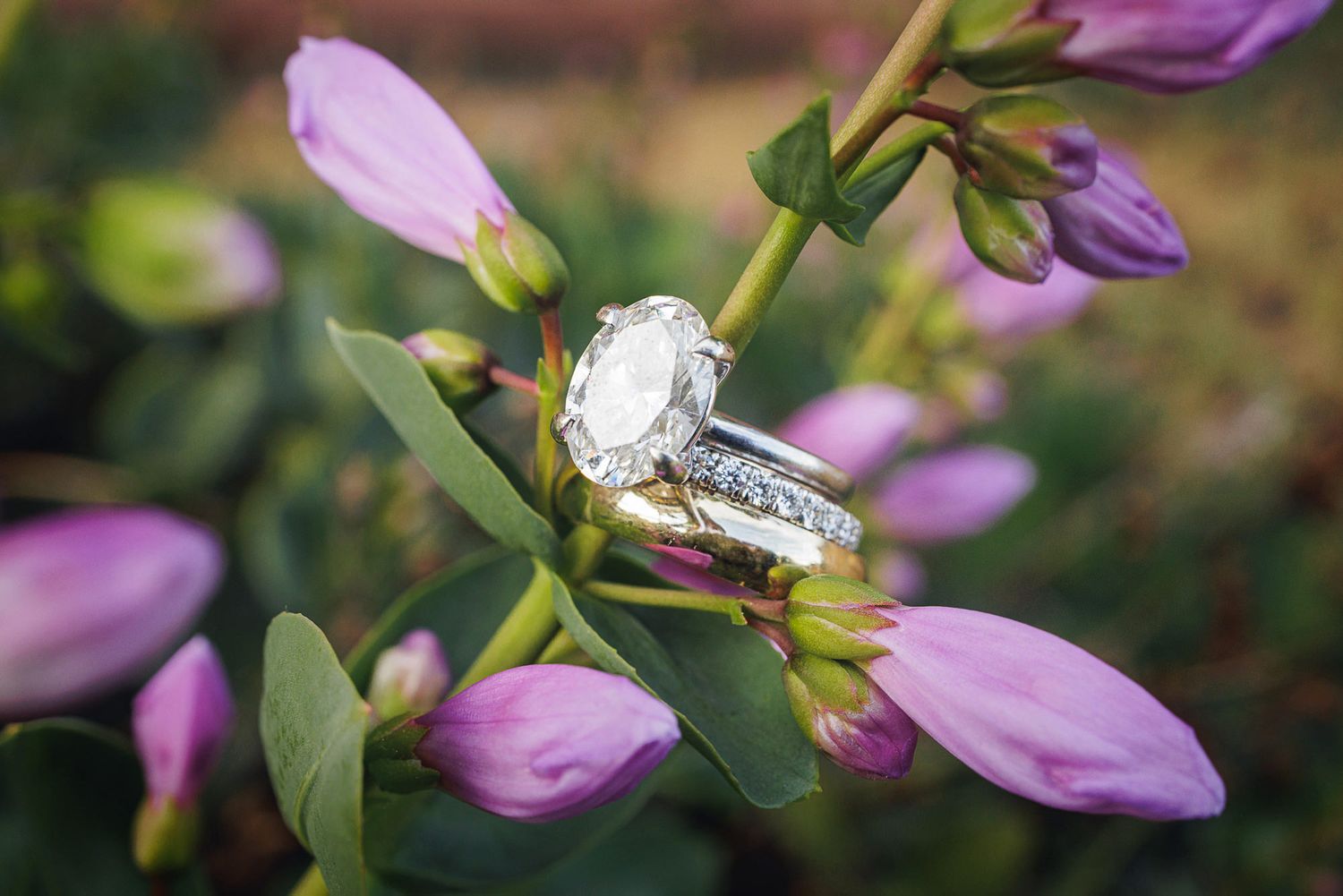 Diamond engagement ring and wedding band resting on purple flower buds in a garden setting.