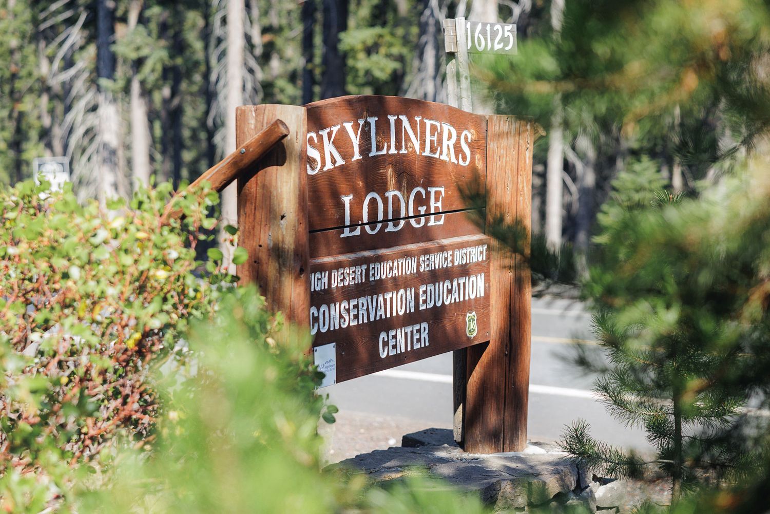 Rustic wooden lodge signs in a forest setting with blurred evergreen trees and natural bokeh effects in the background.