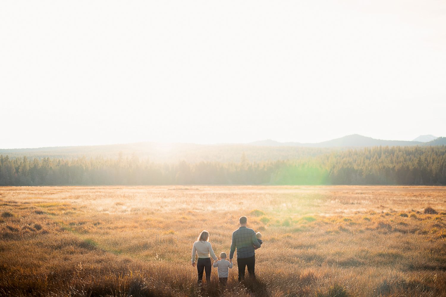 Two silhouetted figures stand in a golden field at sunset with mountains and forest in the background.
