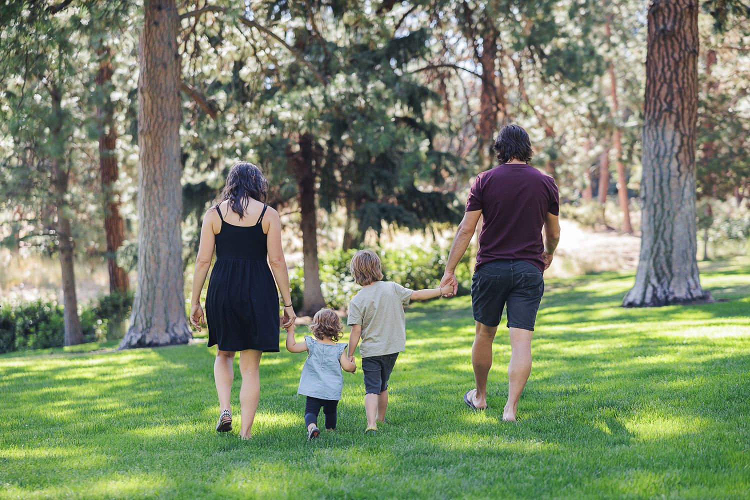 Three people walking together on a grassy path surrounded by tall pine trees in a peaceful outdoor setting.