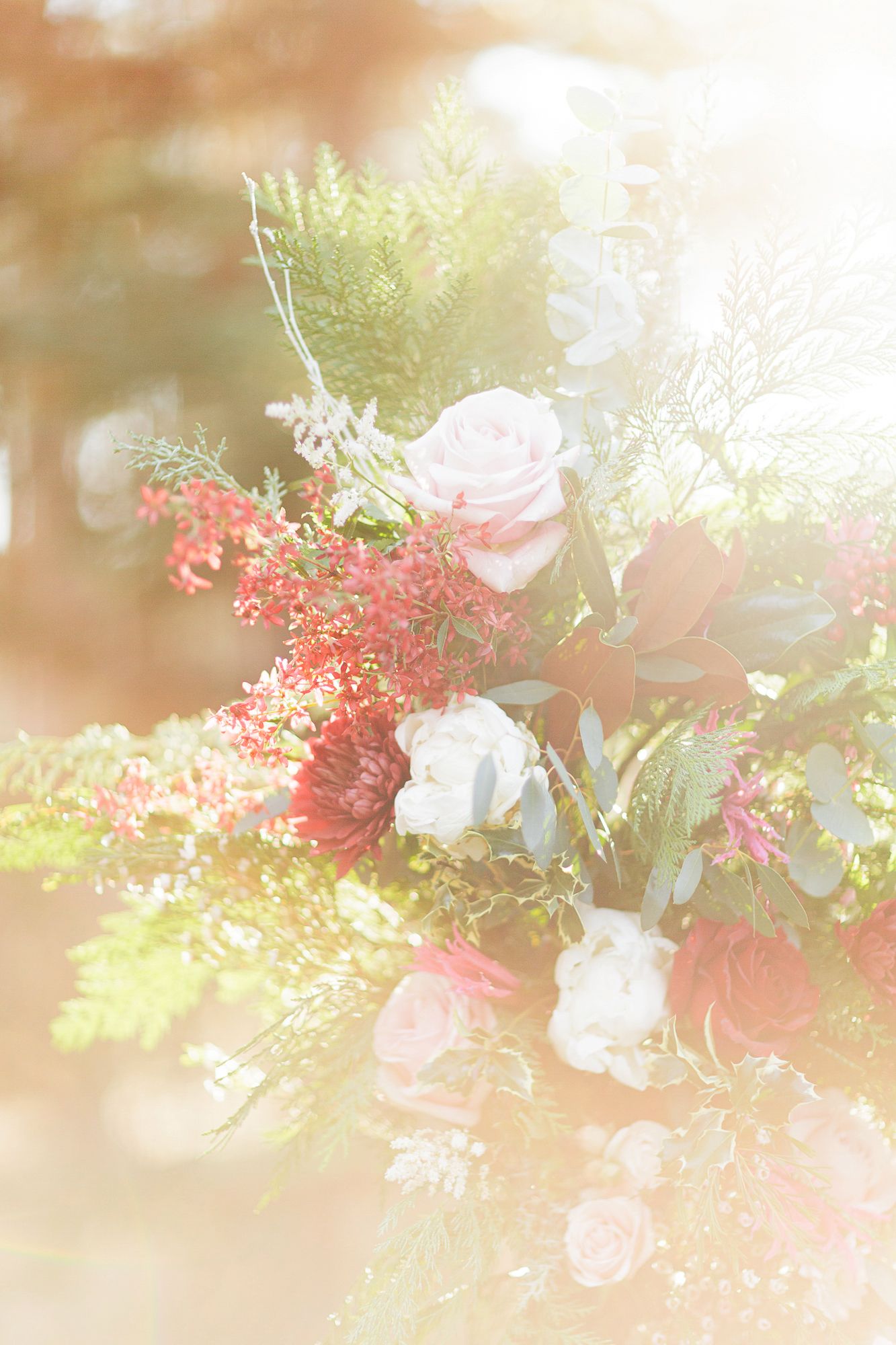 Soft focus floral arrangement with pink roses and red berries against a dreamy blurred background.