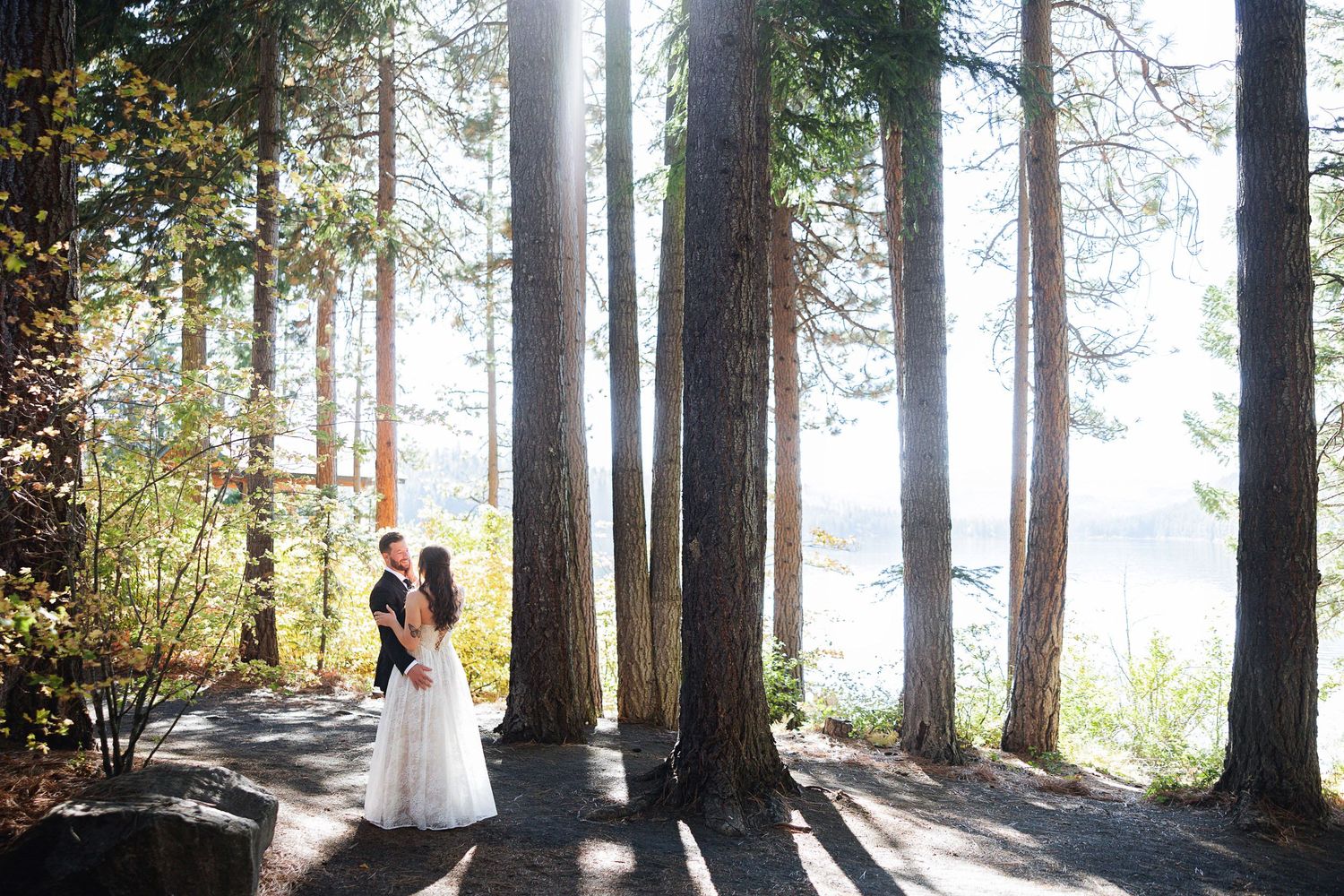 Bride and groom embrace among tall pine trees with sunlight streaming through, overlooking a serene lake backdrop.