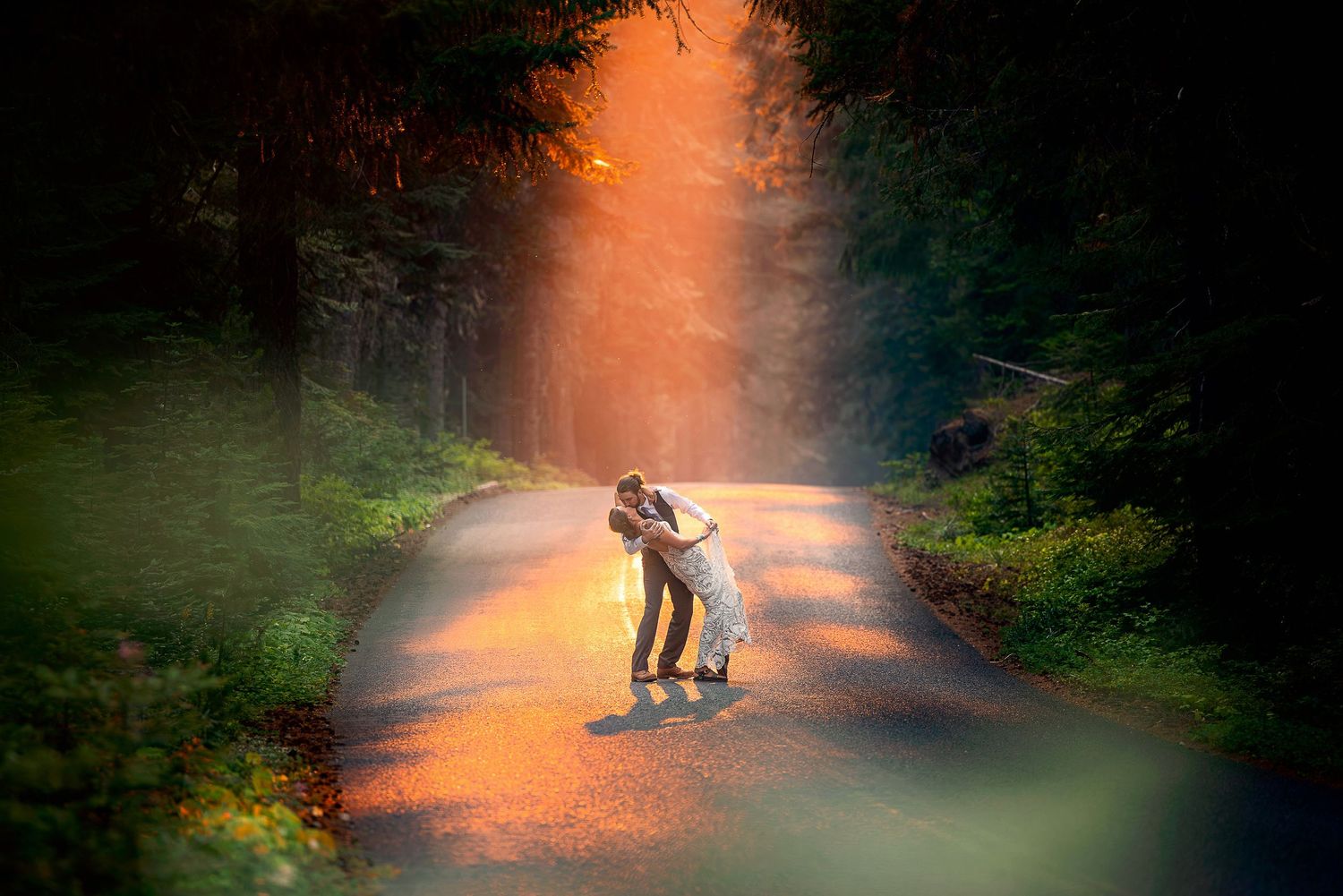 A magical sunlit forest path with a silhouetted figure in warm orange light.
