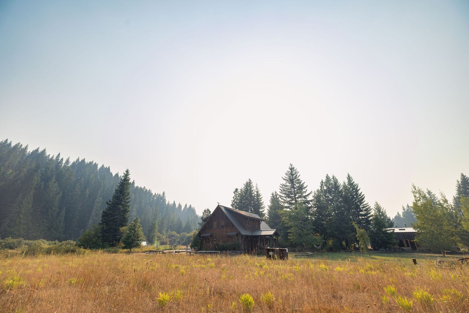 Rustic wooden cabin nestled among evergreen trees in a golden meadow under soft morning light.