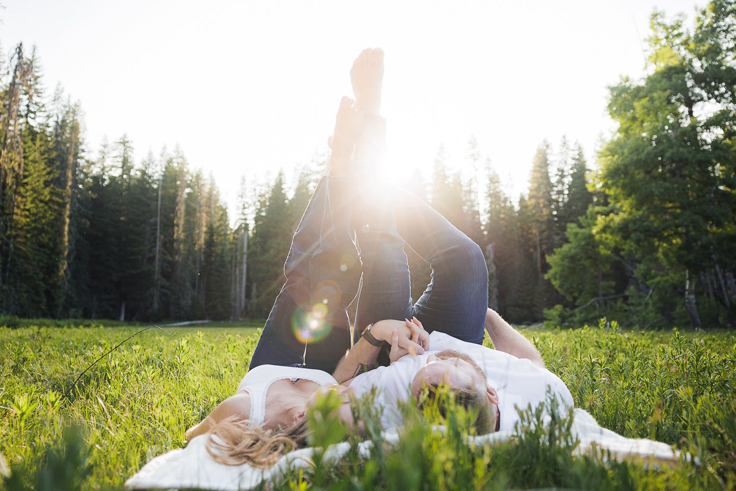 Someone relaxes in a grassy meadow surrounded by evergreen forest with sunlight creating a warm lens flare effect.