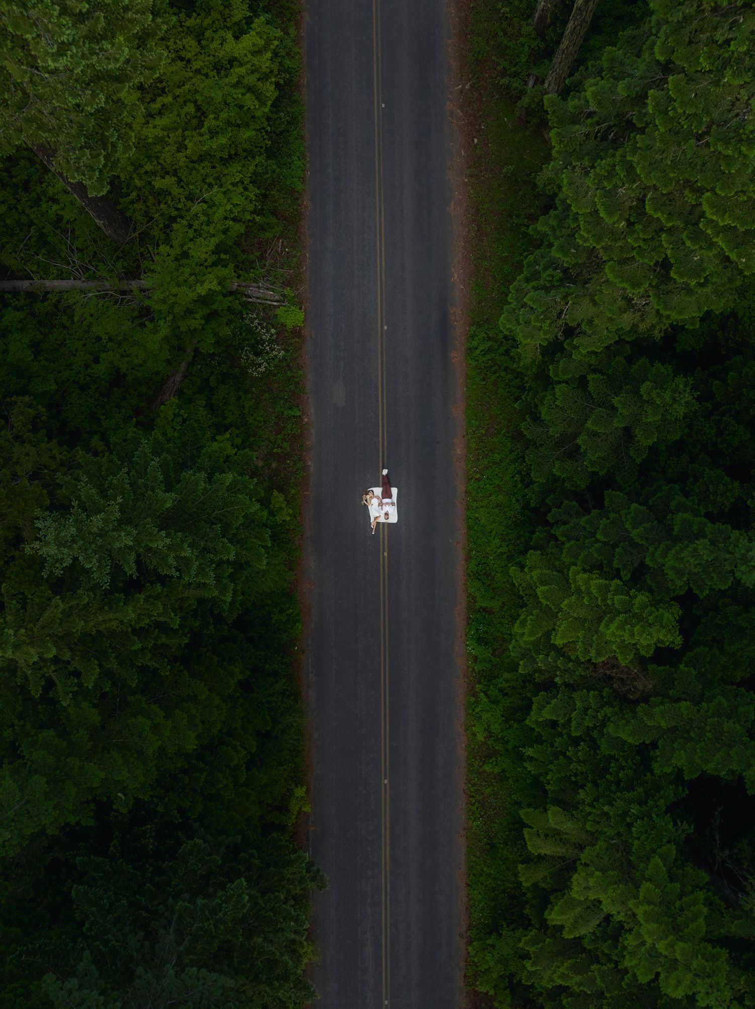 Aerial drone view of a straight road through dense green forest with a single white vehicle driving along the center.