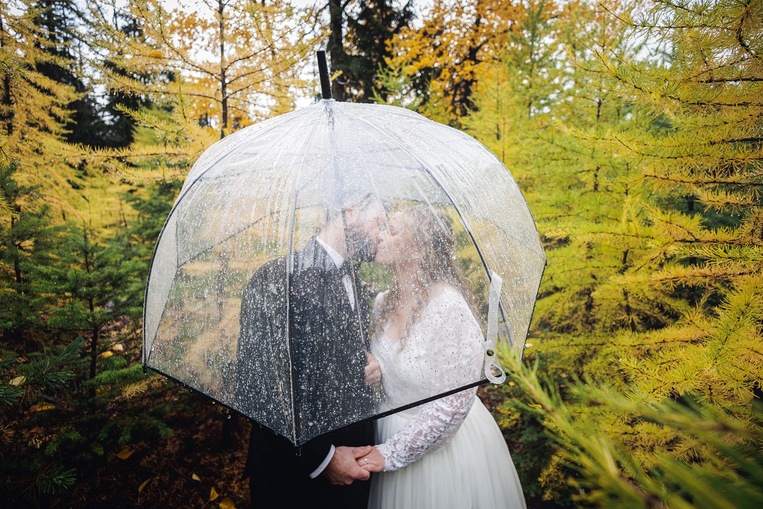 A couple shares an umbrella under autumn trees with golden yellow foliage during a rainy day.