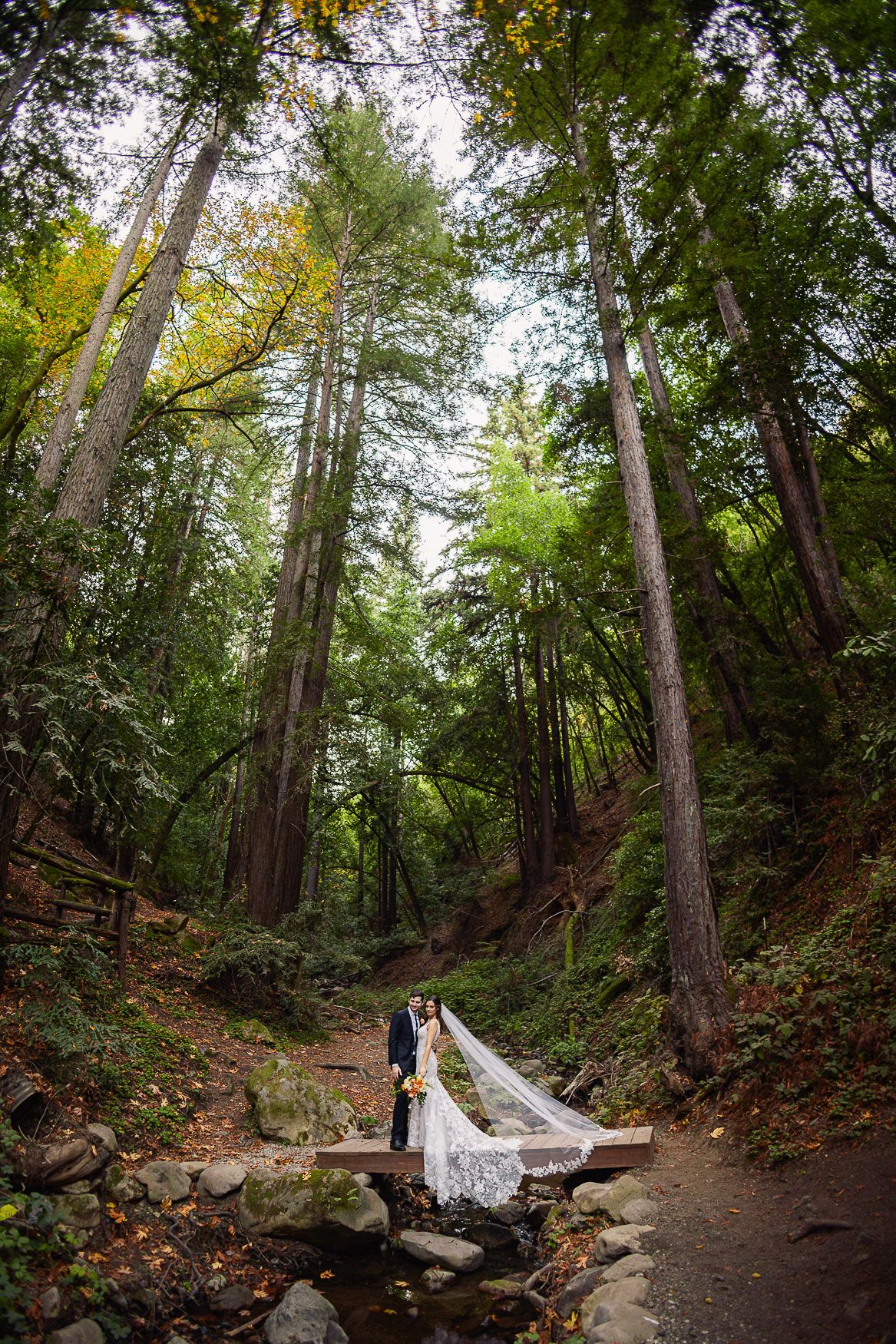 A romantic couple stands on a wooden footbridge surrounded by towering trees in a lush forest setting.