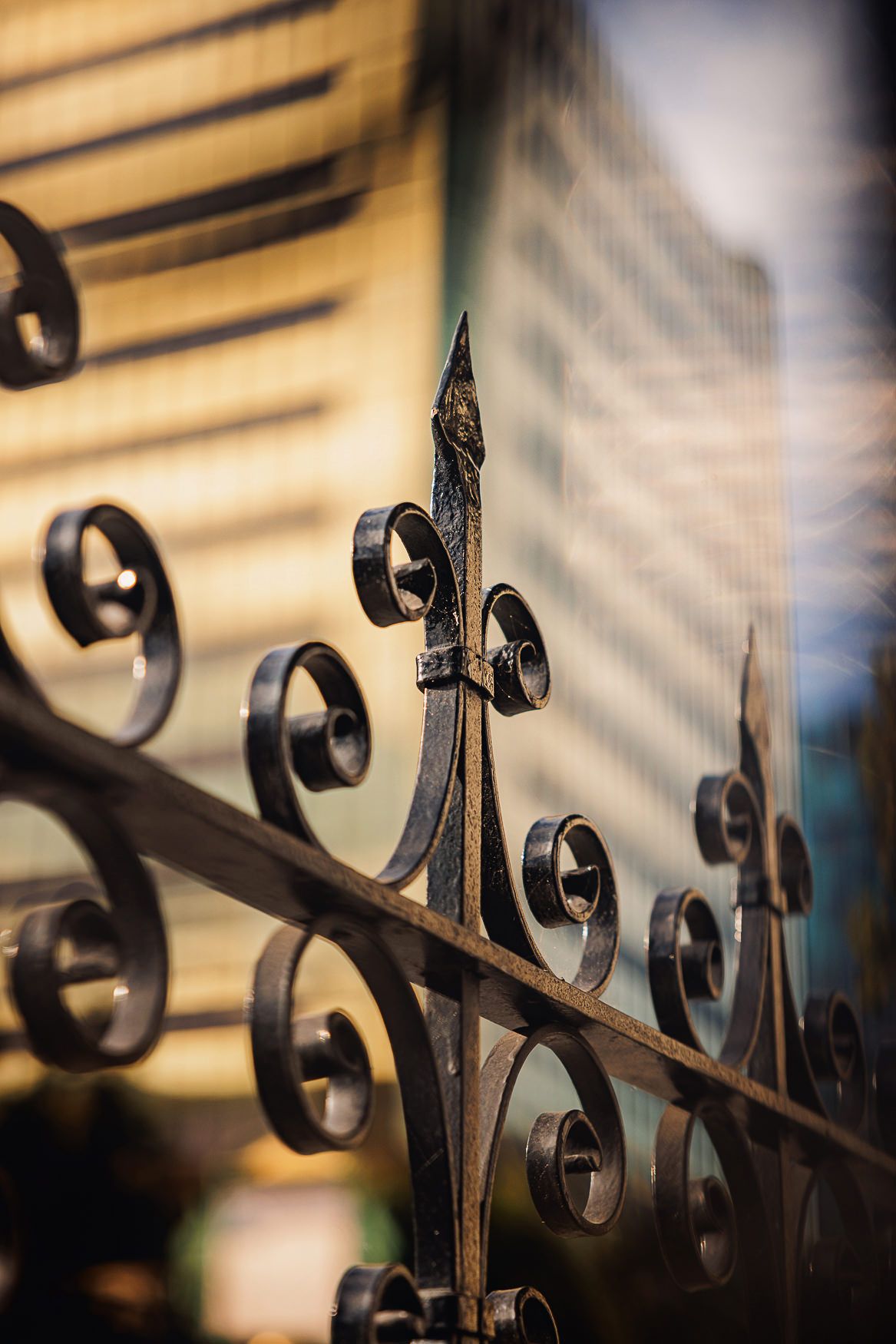Close-up of ornate wrought iron fence with decorative scrollwork casting shadows in warm sunlight.