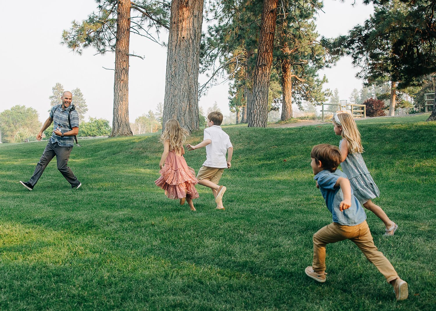 Group running and playing together on a grassy hill with tall pine trees on a sunny afternoon.