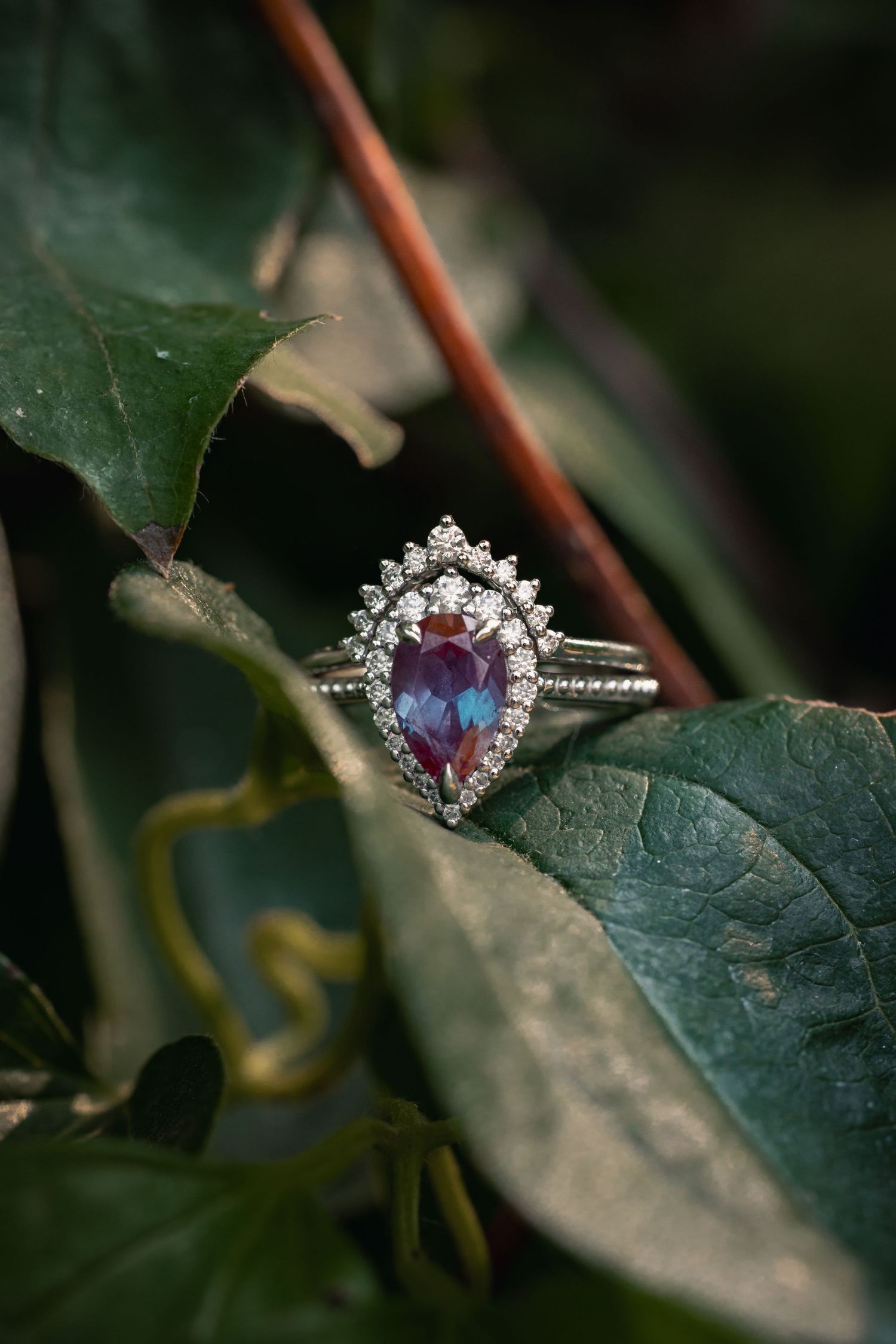 Elegant diamond halo engagement ring with oval alexandrite center stone nestled among green leaves in natural light.