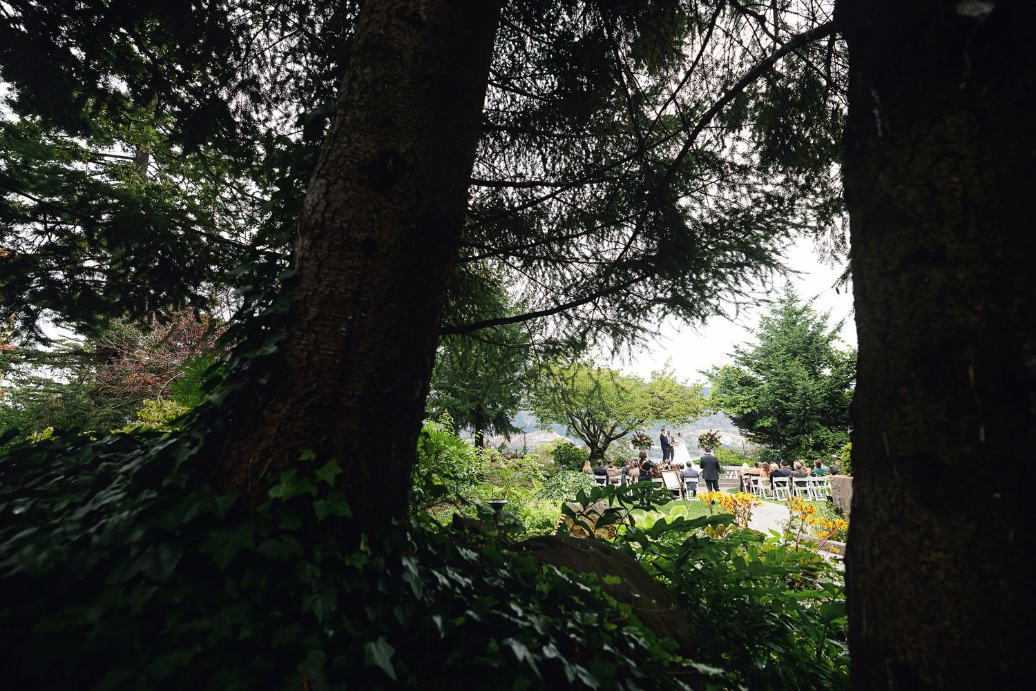 Lush garden wedding venue viewed through tall tree trunks with guests gathered in the background.
