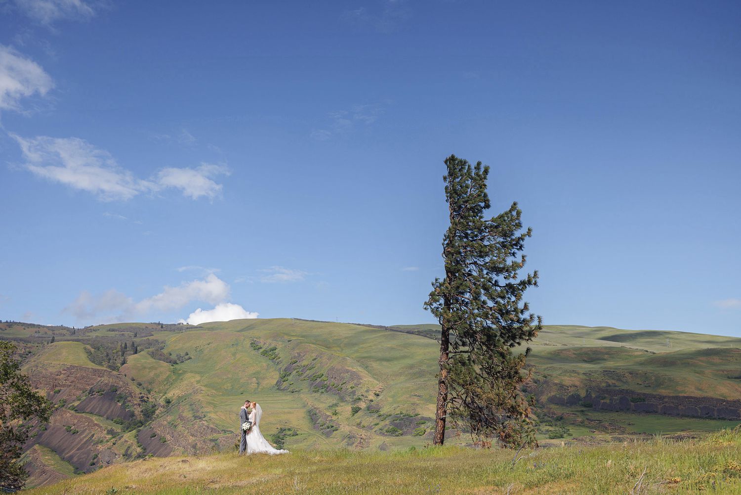 Bride and groom stand near a tall pine tree on a green hillside under a bright blue sky in a scenic outdoor wedding.