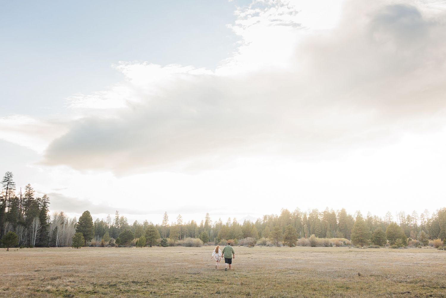 Couple walking hand in hand across a sunlit meadow with trees and a glowing sky in the background.