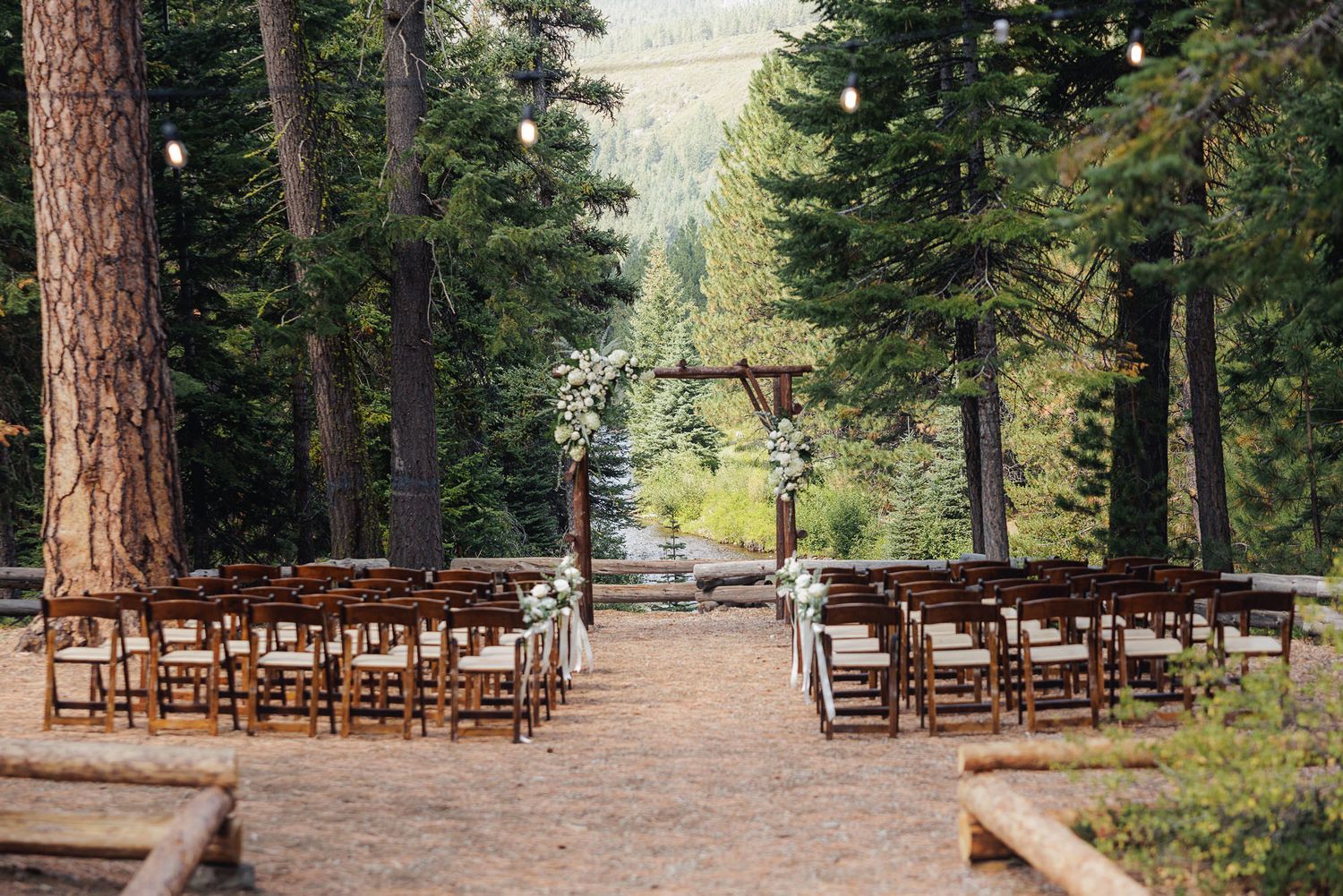Rustic wooden chairs arranged in rows for an outdoor wedding ceremony in a pine forest setting.