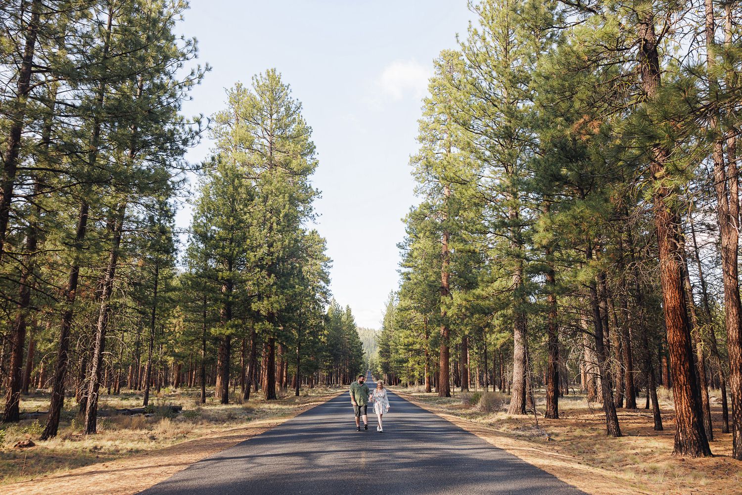 Two people walking down a tree-lined road through a pine forest on a sunny day.