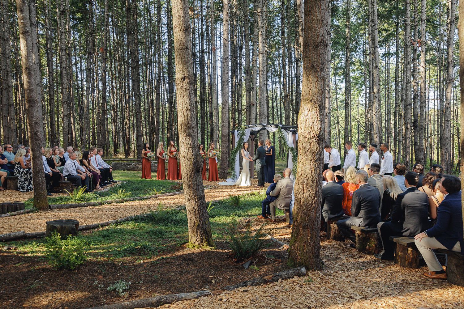 A group of people sitting on chairs arranged in rows within a serene pine forest setting during an outdoor event.