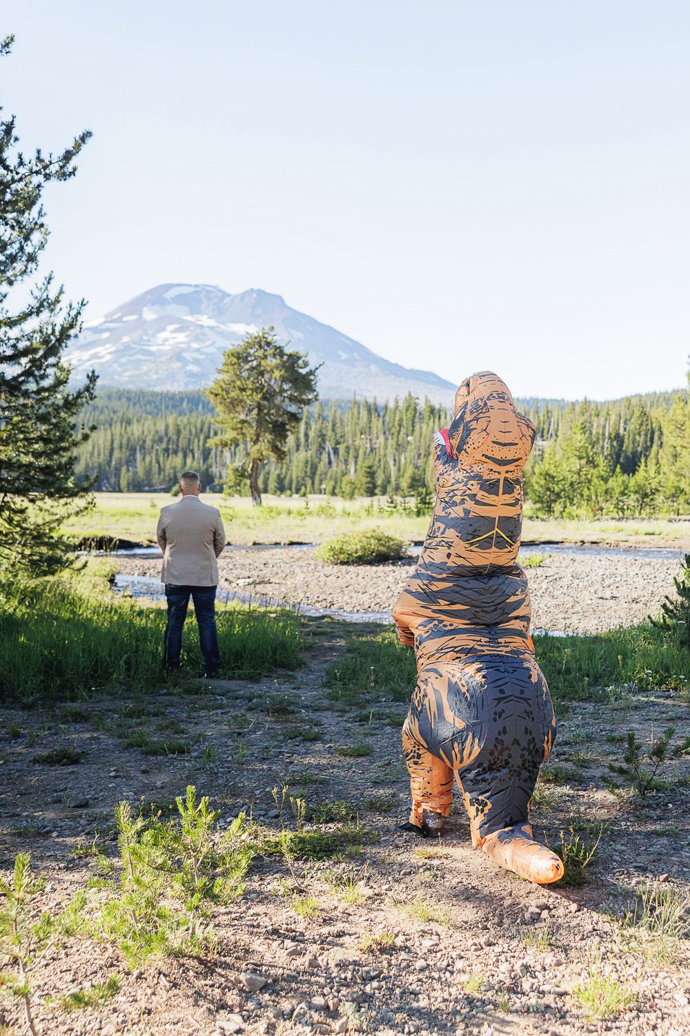 Inflatable T-Rex costume poses near a scenic mountain landscape with evergreen trees and a distant snow-capped peak.