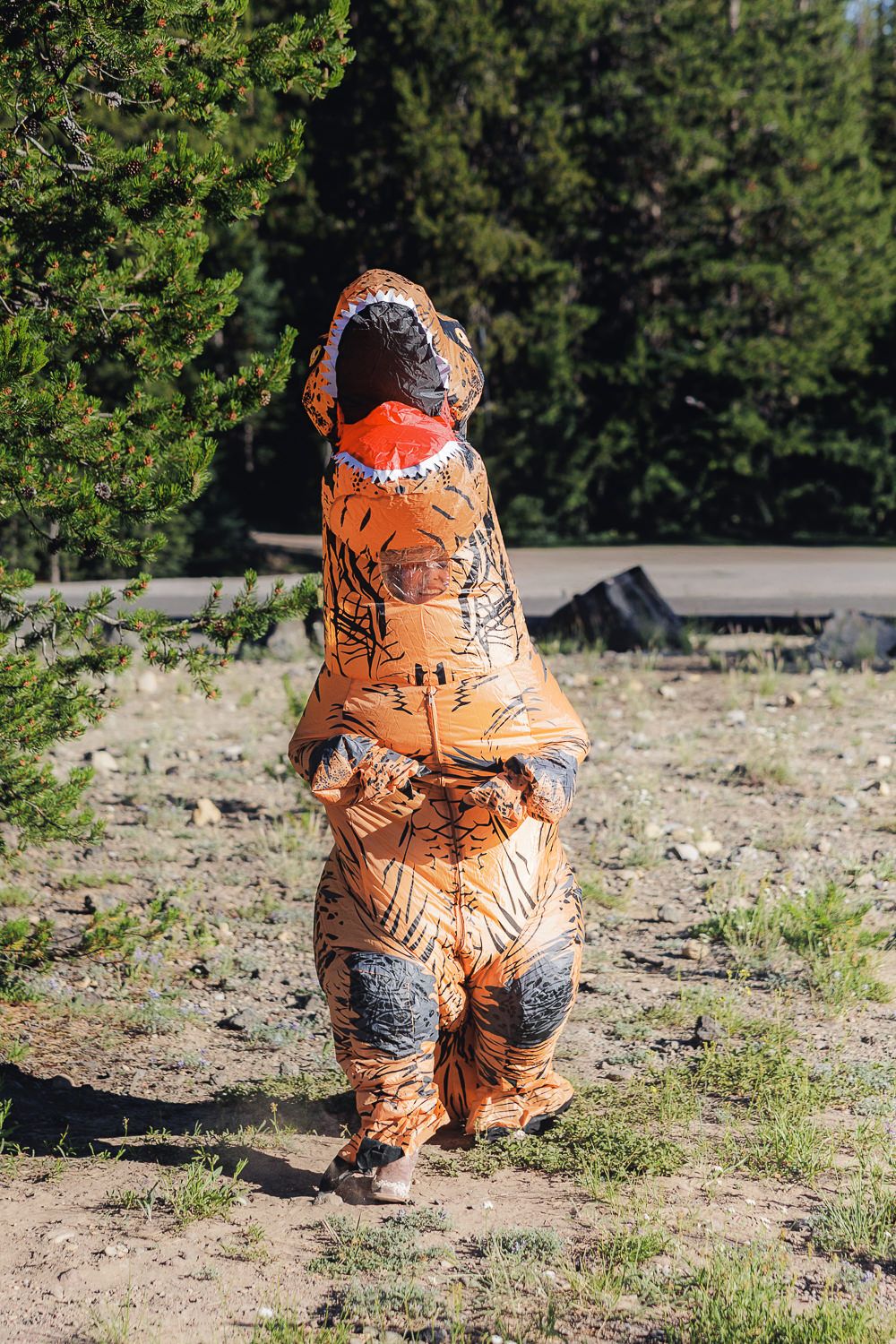 An inflatable T-Rex dinosaur costume stands on dirt ground with green foliage in the background.