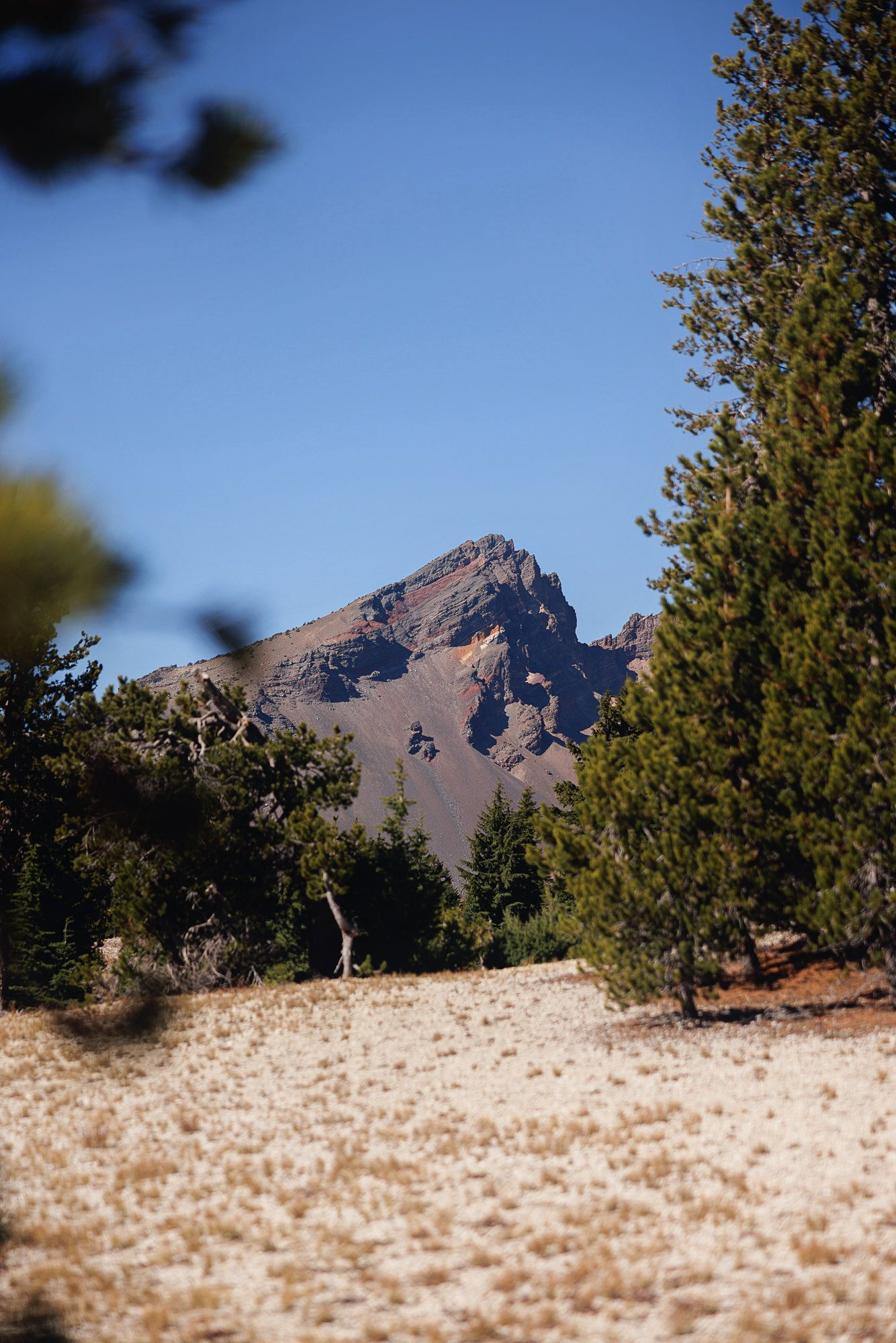 Rugged rocky mountain peak rising above evergreen pine trees and a dry, sandy meadow under a clear blue sky.
